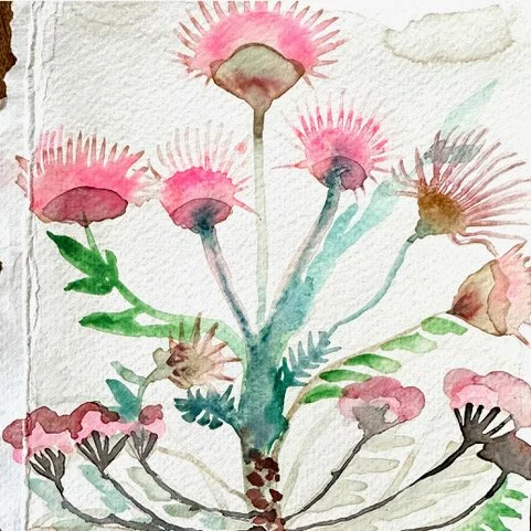 Deb march 1 small thistles copy.jpeg