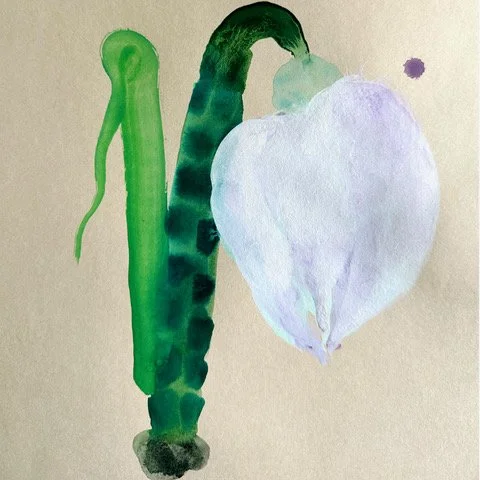 Deb march 1 white-flower.jpeg