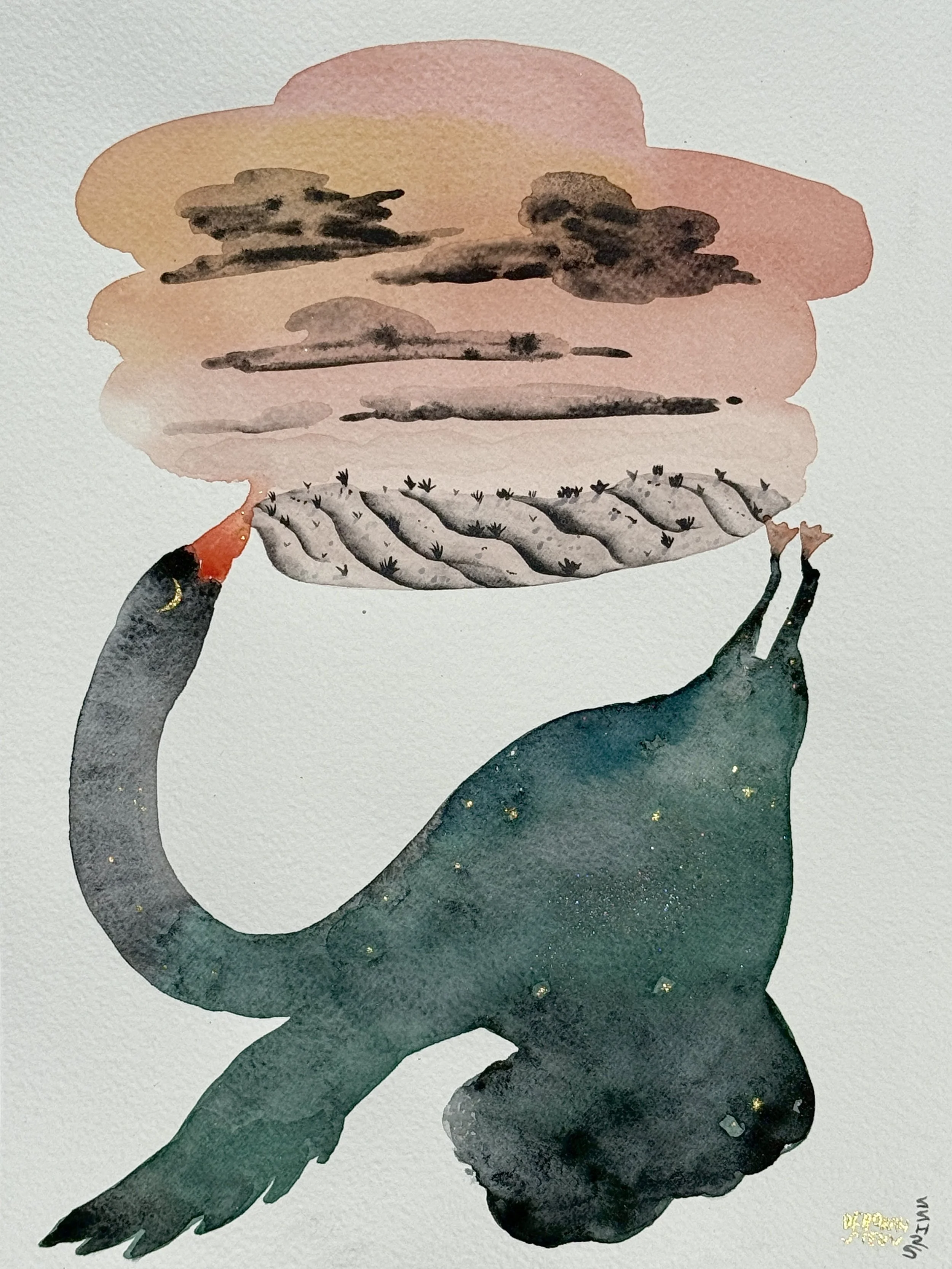 Sean Deb Embudo.JPEG