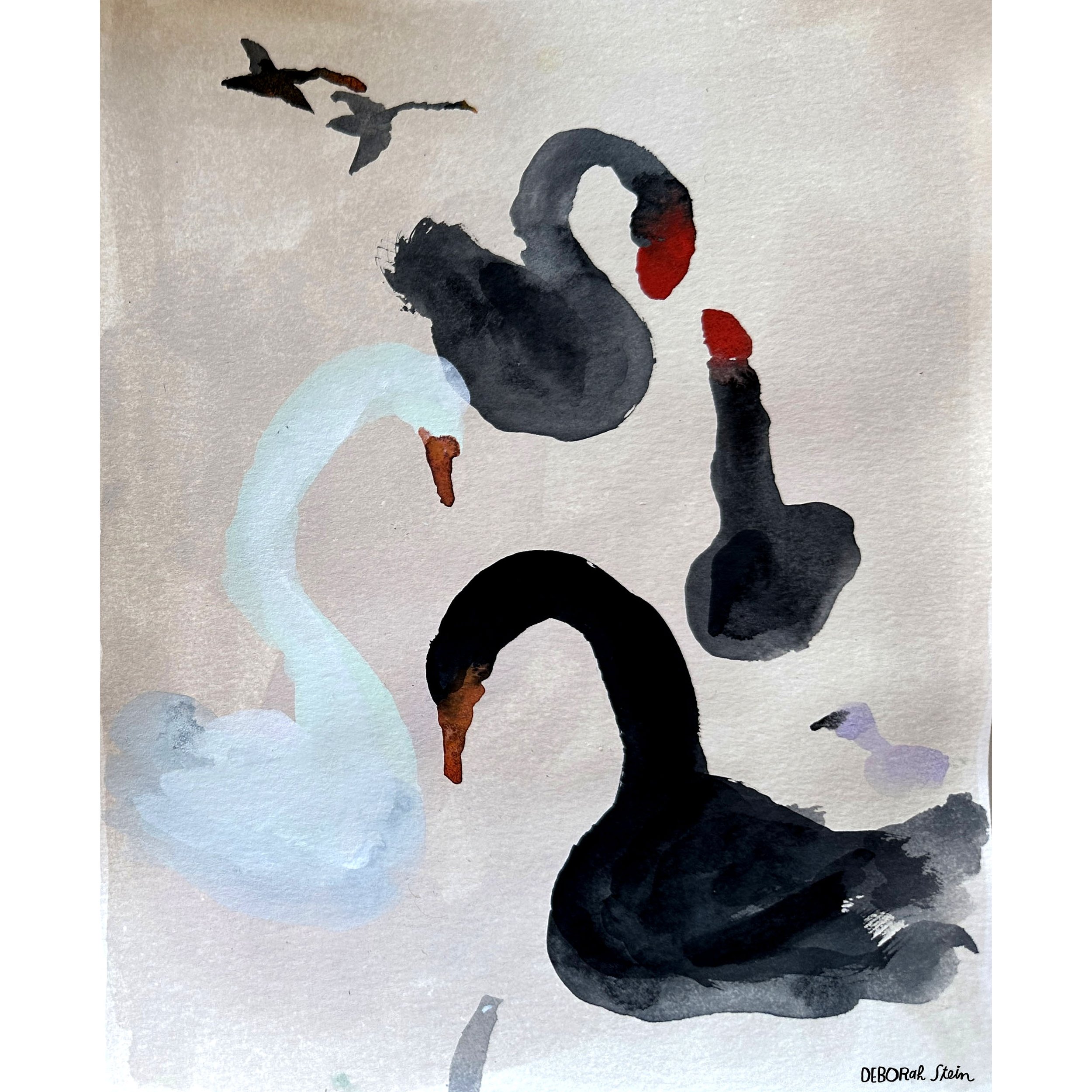 swans-raw copy.jpg