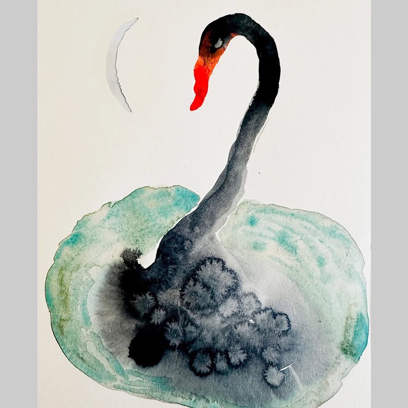 black-swan.jpg