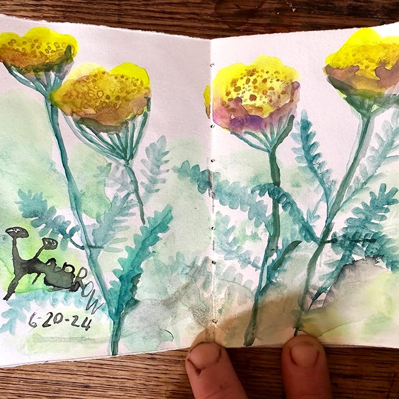 yarrow-book.jpg