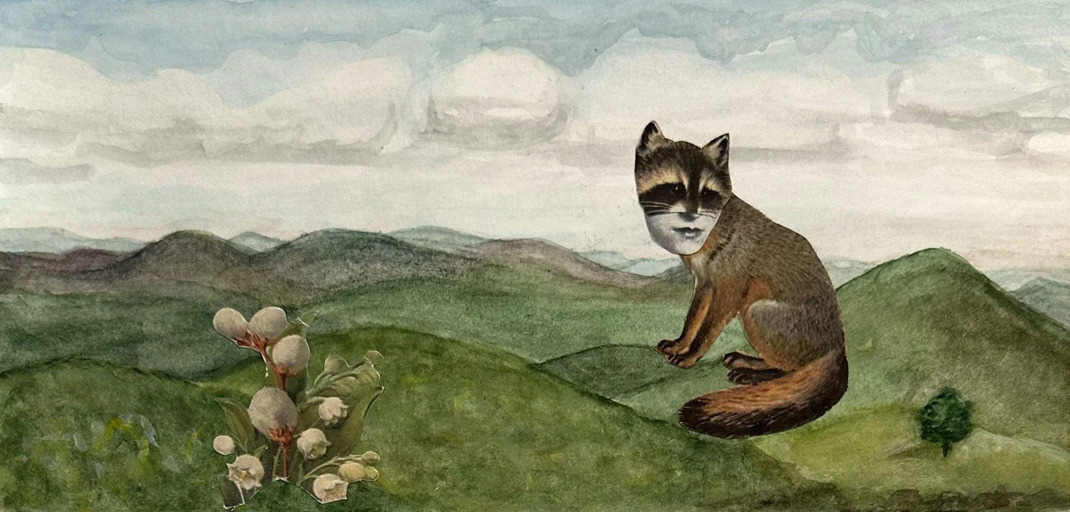 1_Suzanne Sbarge_Raccoon Fox_mixed media on paper.jpg