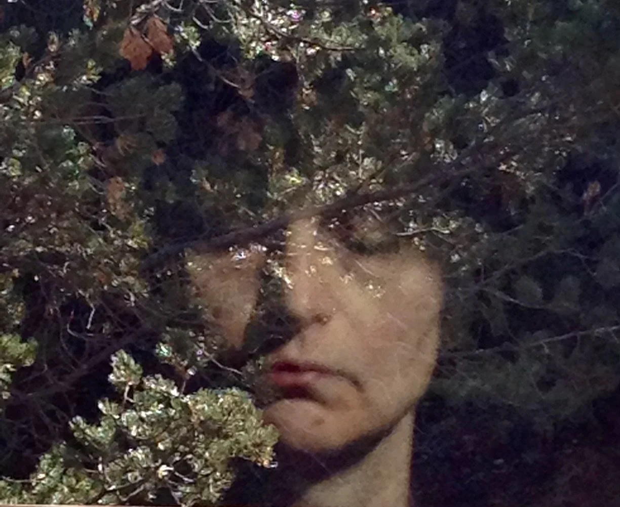 bookbinding Babs tree head.jpeg