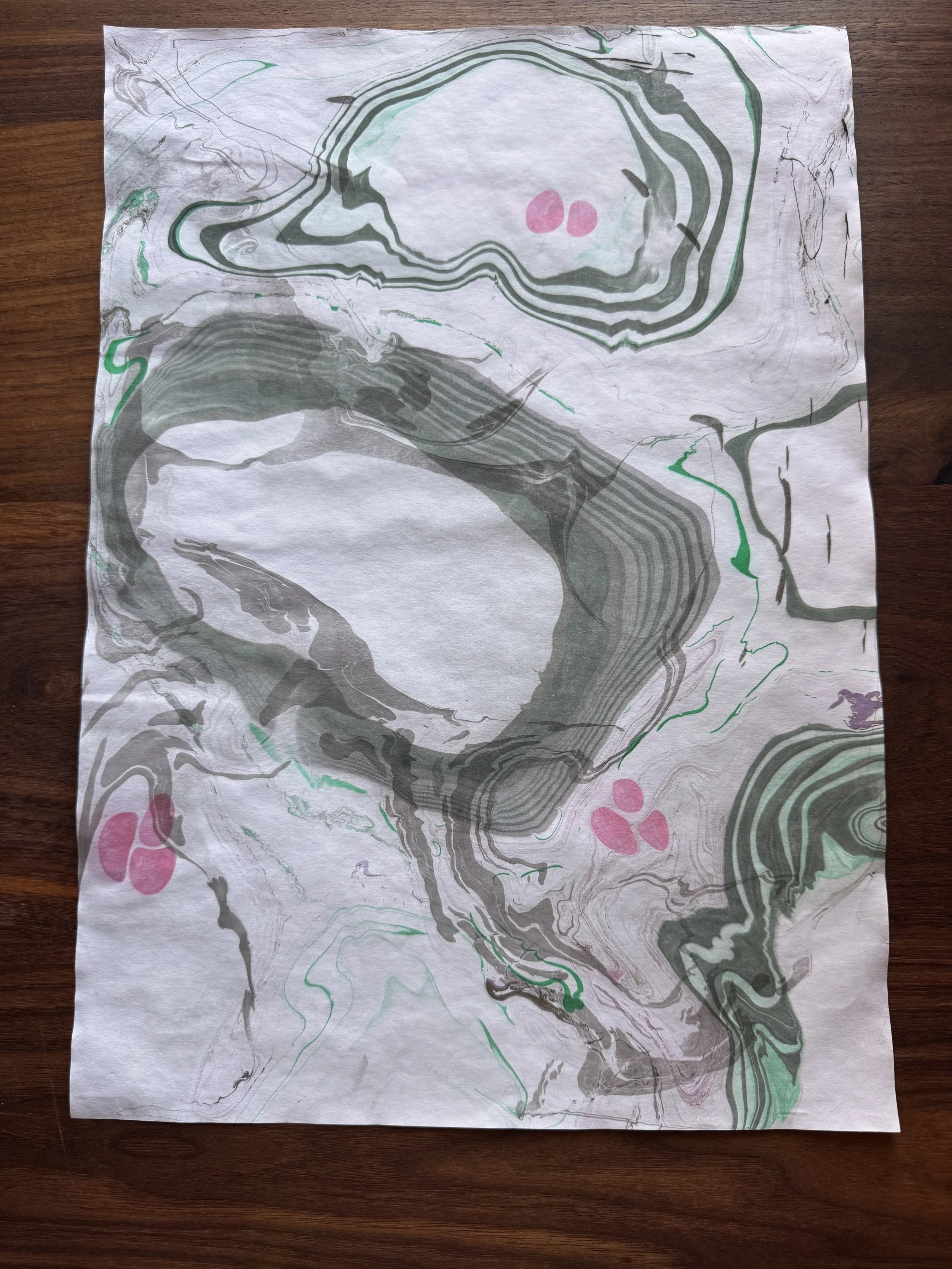 NEW SUMI .JPG