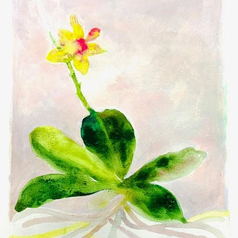 Deb march 1 yellow-orchid copy.jpeg