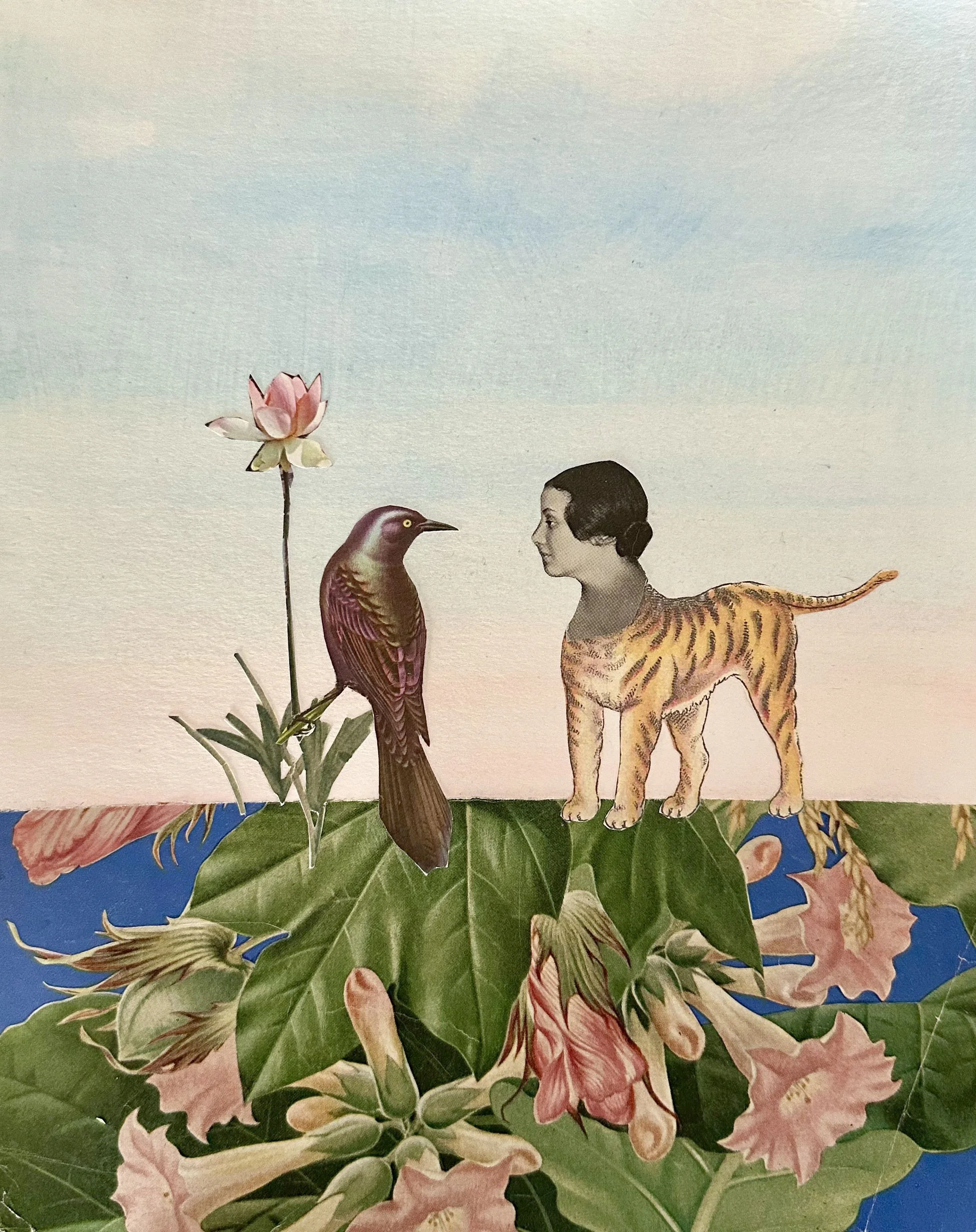 3_Suzanne Sbarge_Grackle_2025_mixed media on paper.jpg