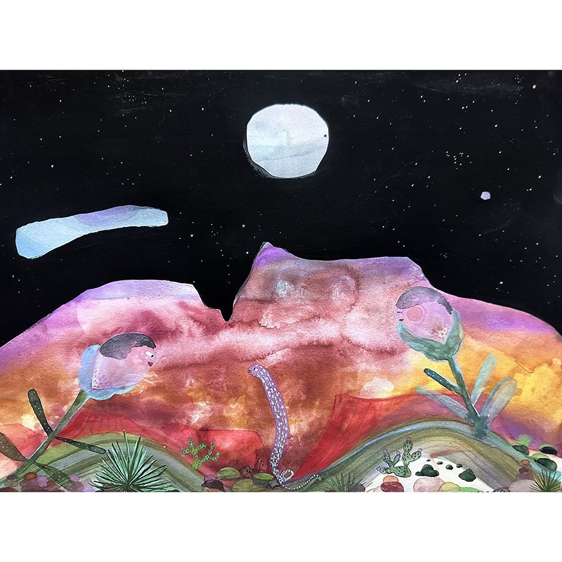desert at night copy.jpg