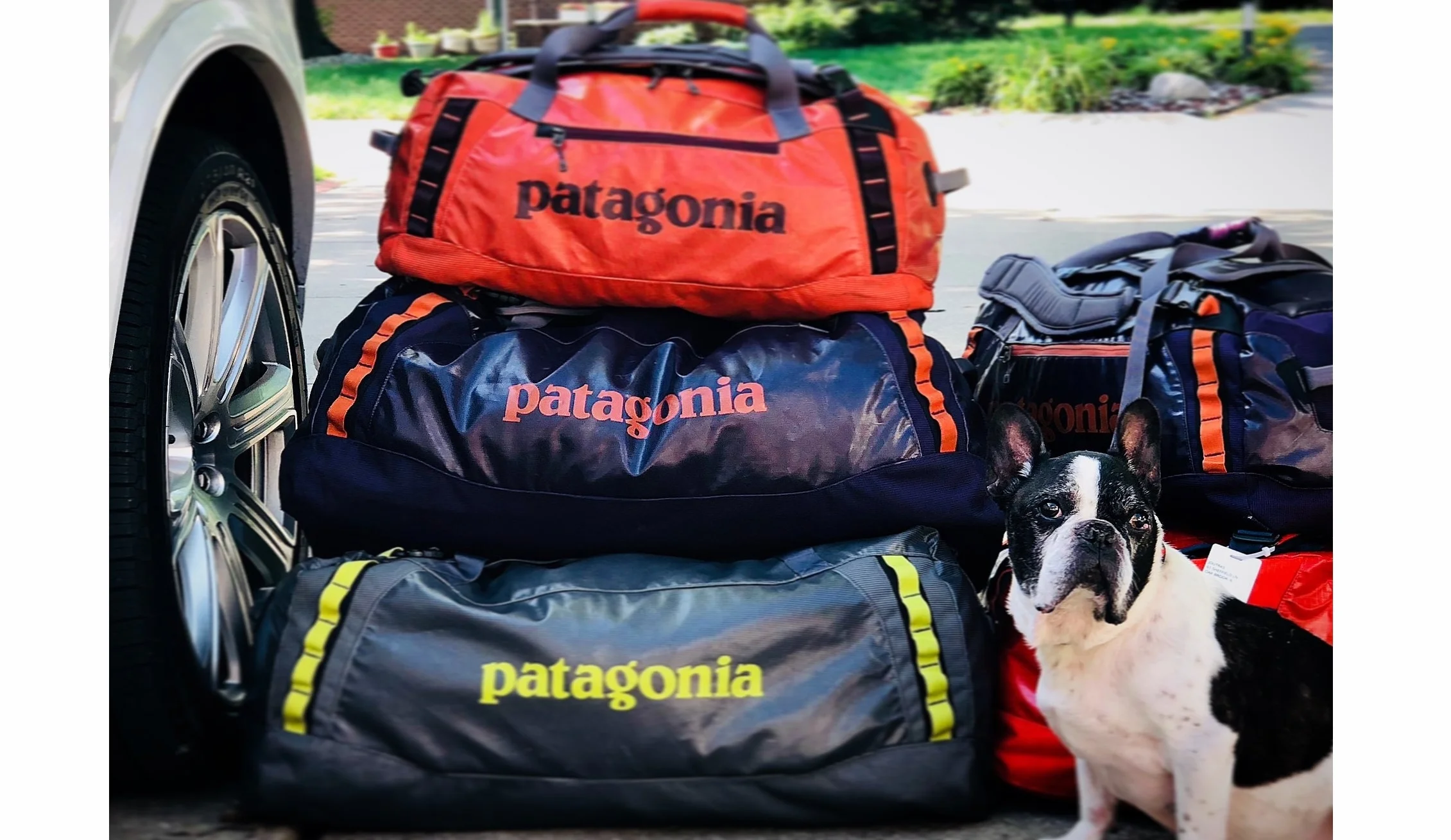 Perfect Bags for Travel!