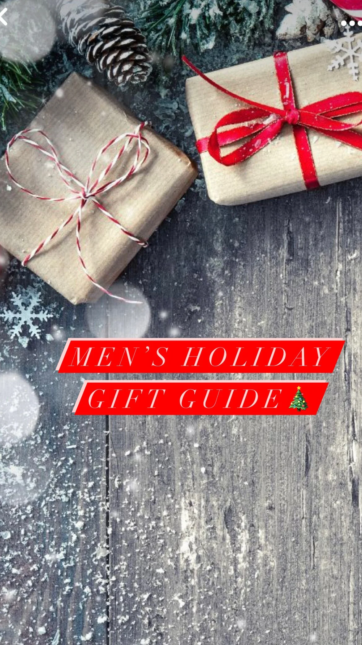 Men's Holiday Gift guide