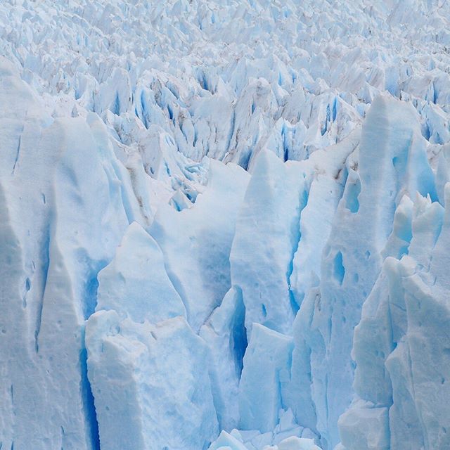 Perito Moreno detail. Looks like blue honeycomb! .
#tiffanykenyonphoto #patagoniaargentina #glacier #ParquesNacionales #peritomoreno #GlaciarPeritoMoreno #7MaravillasNaturalesArgentinas #ElCalafate #Tierradeglaciares #ourplanet #glacierart  #bluenatu