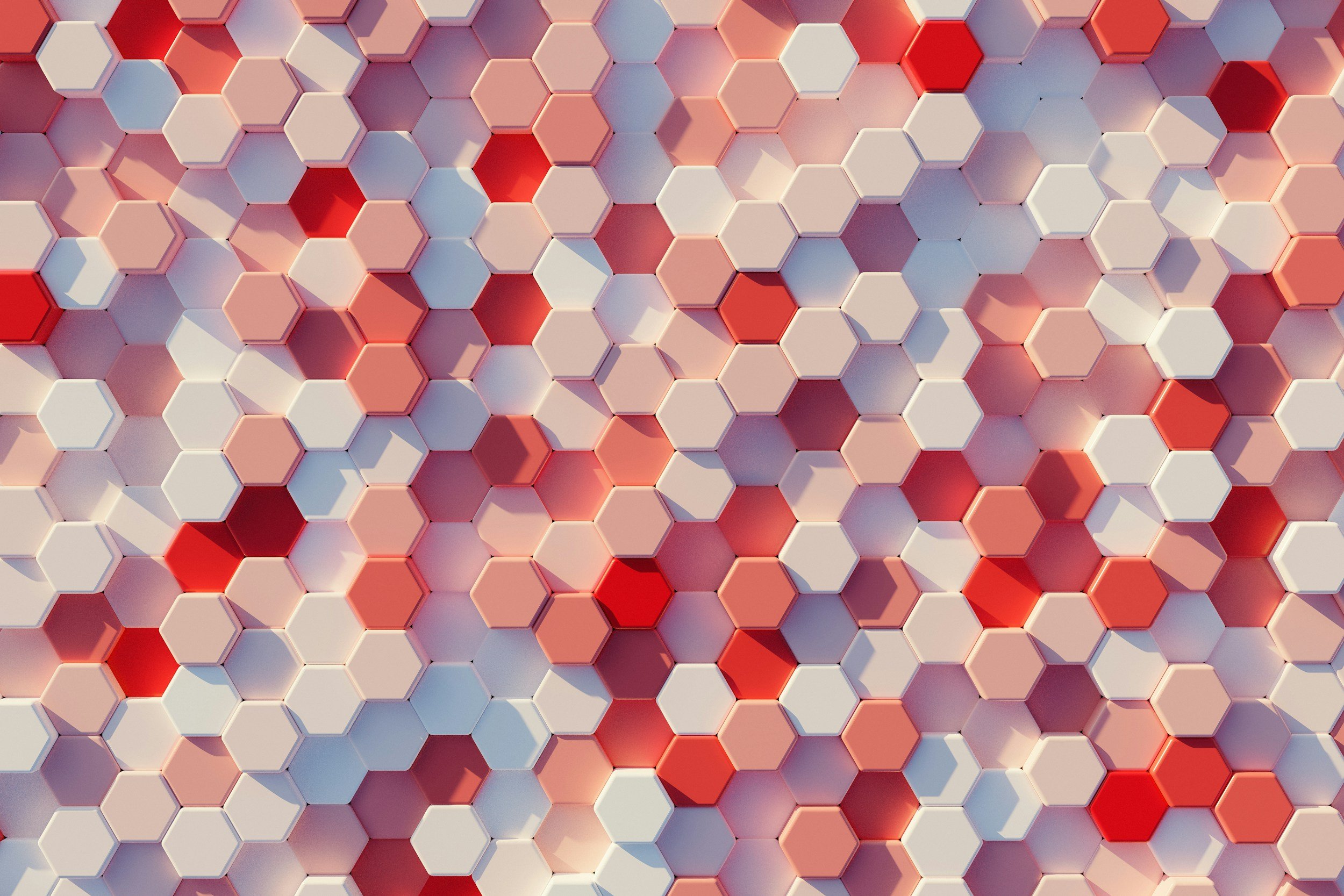 unsplash-image-cDe4G55k6pE.jpg