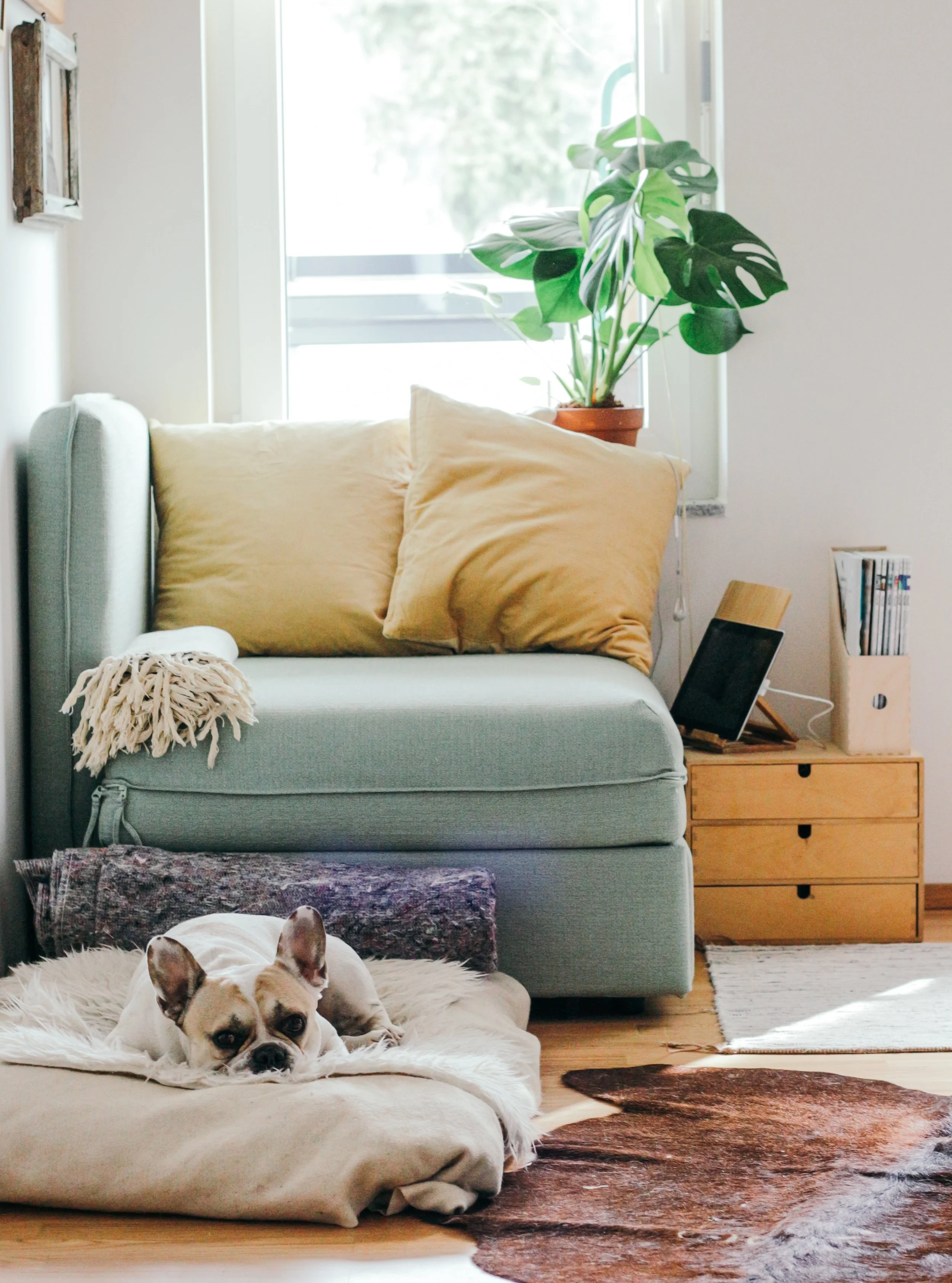 Photo by Brina Blum on Unsplash