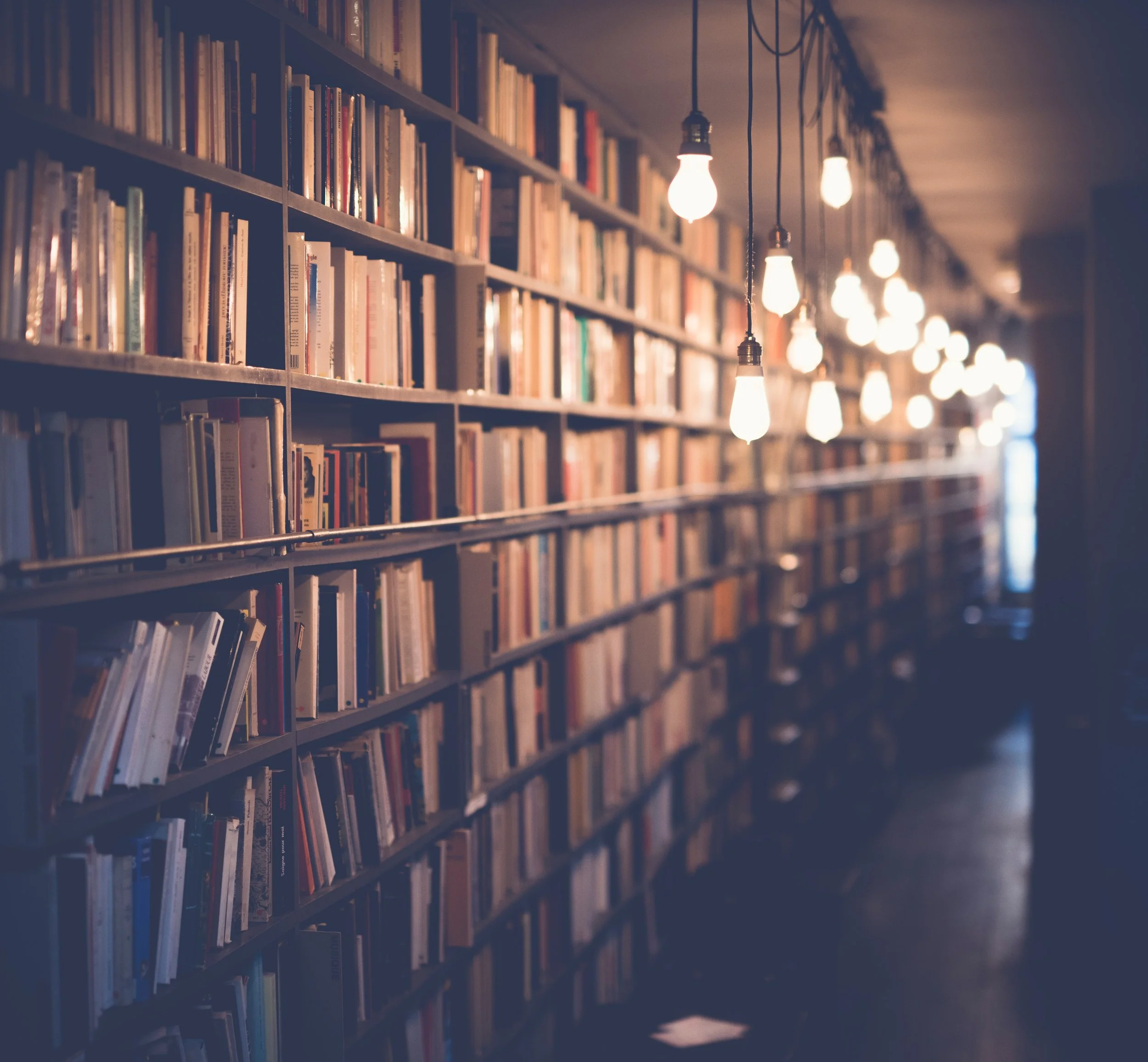 Photo by Janko Ferlič on Unsplash