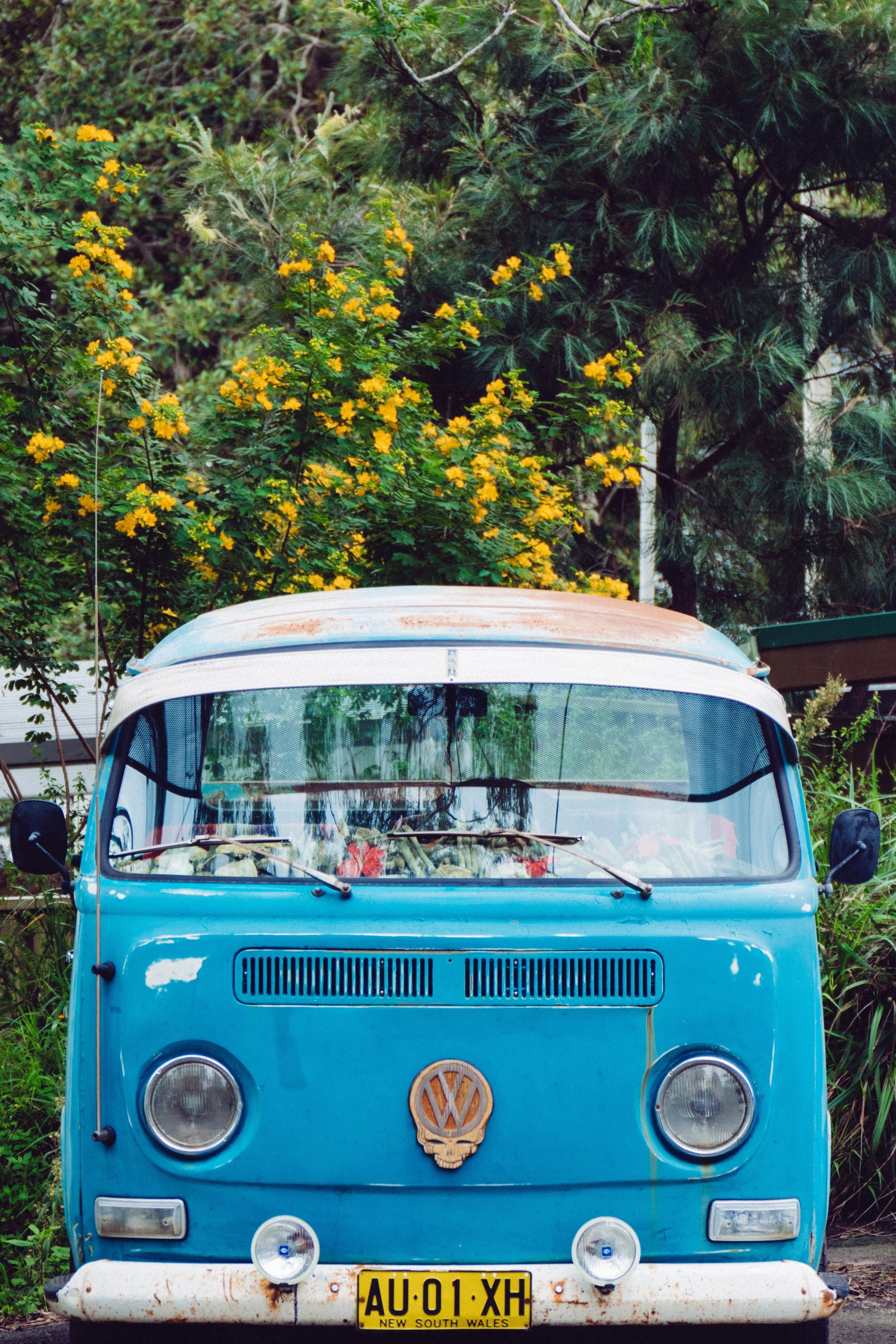 Photo by Benjamin Shanks on Unsplash
