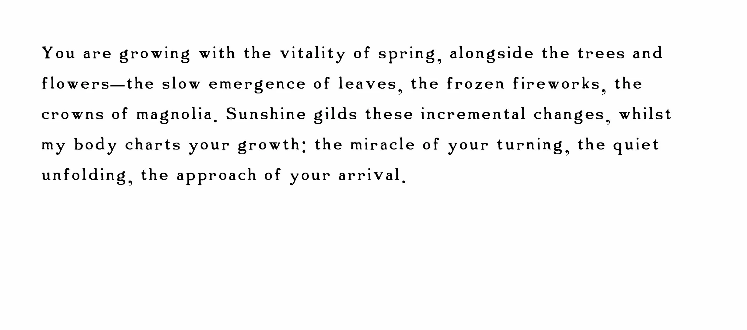 Rebecca Rose Harris Writing