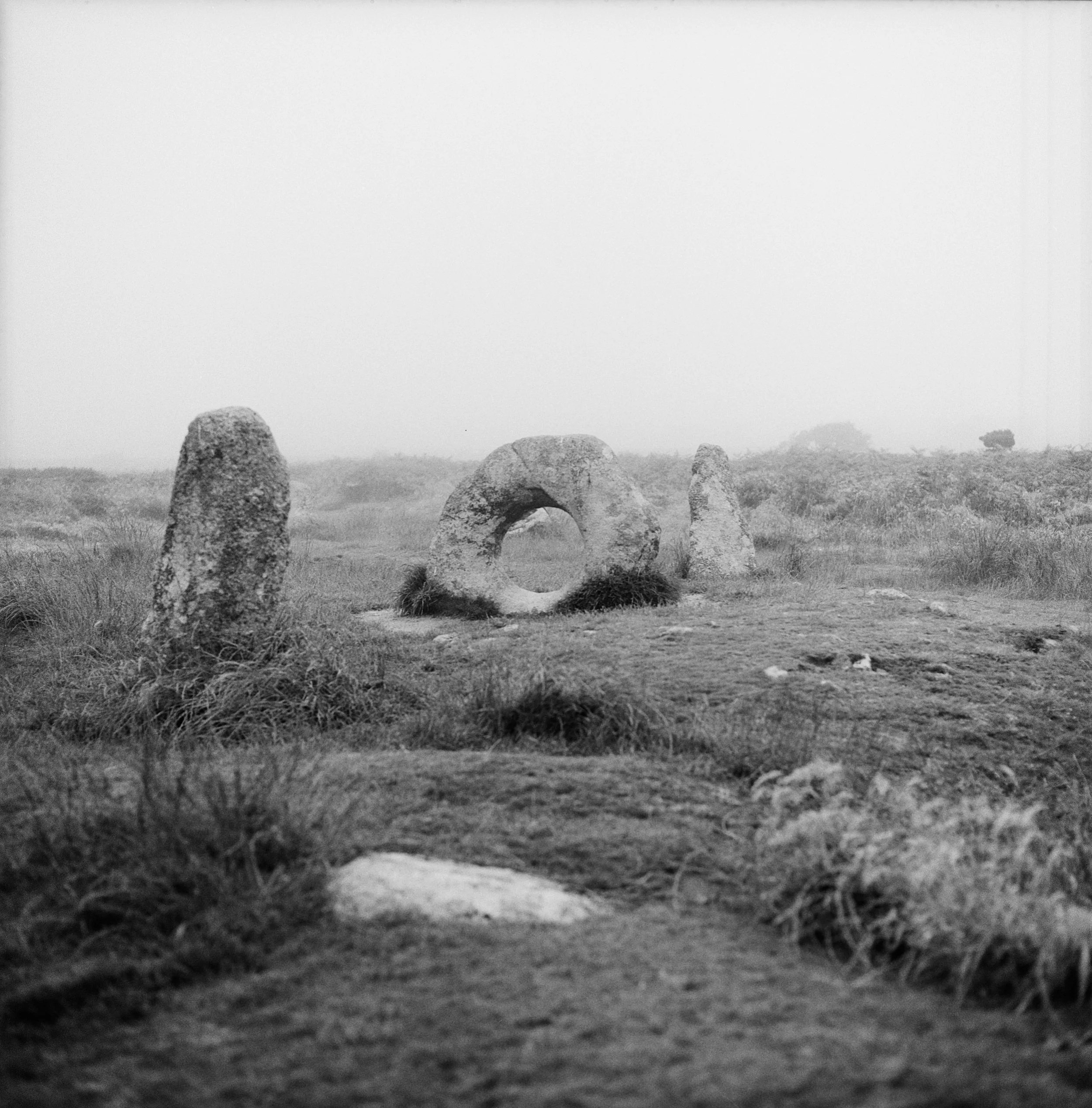 Rebecca Rose Harris Photography