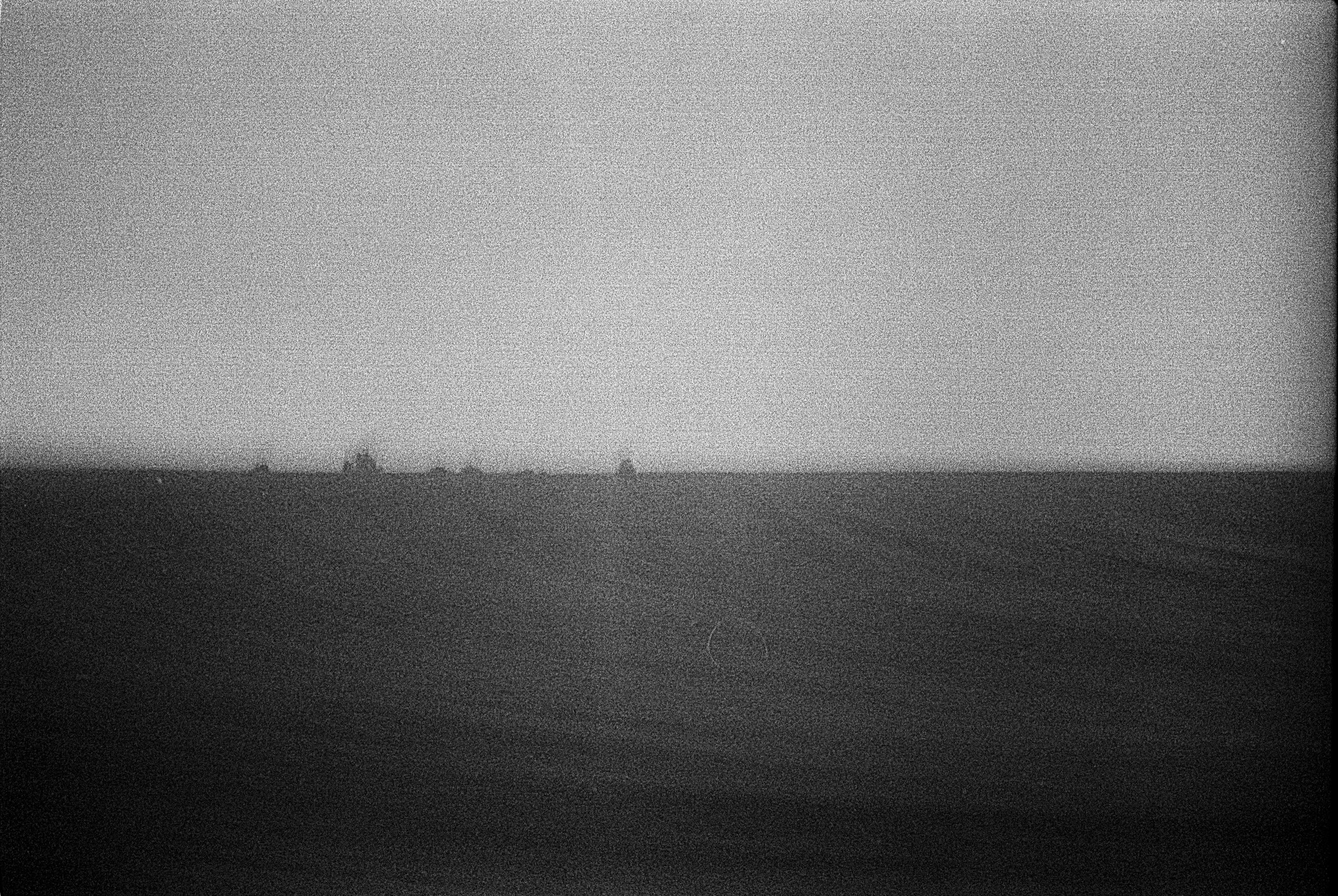 tides of fields .jpg