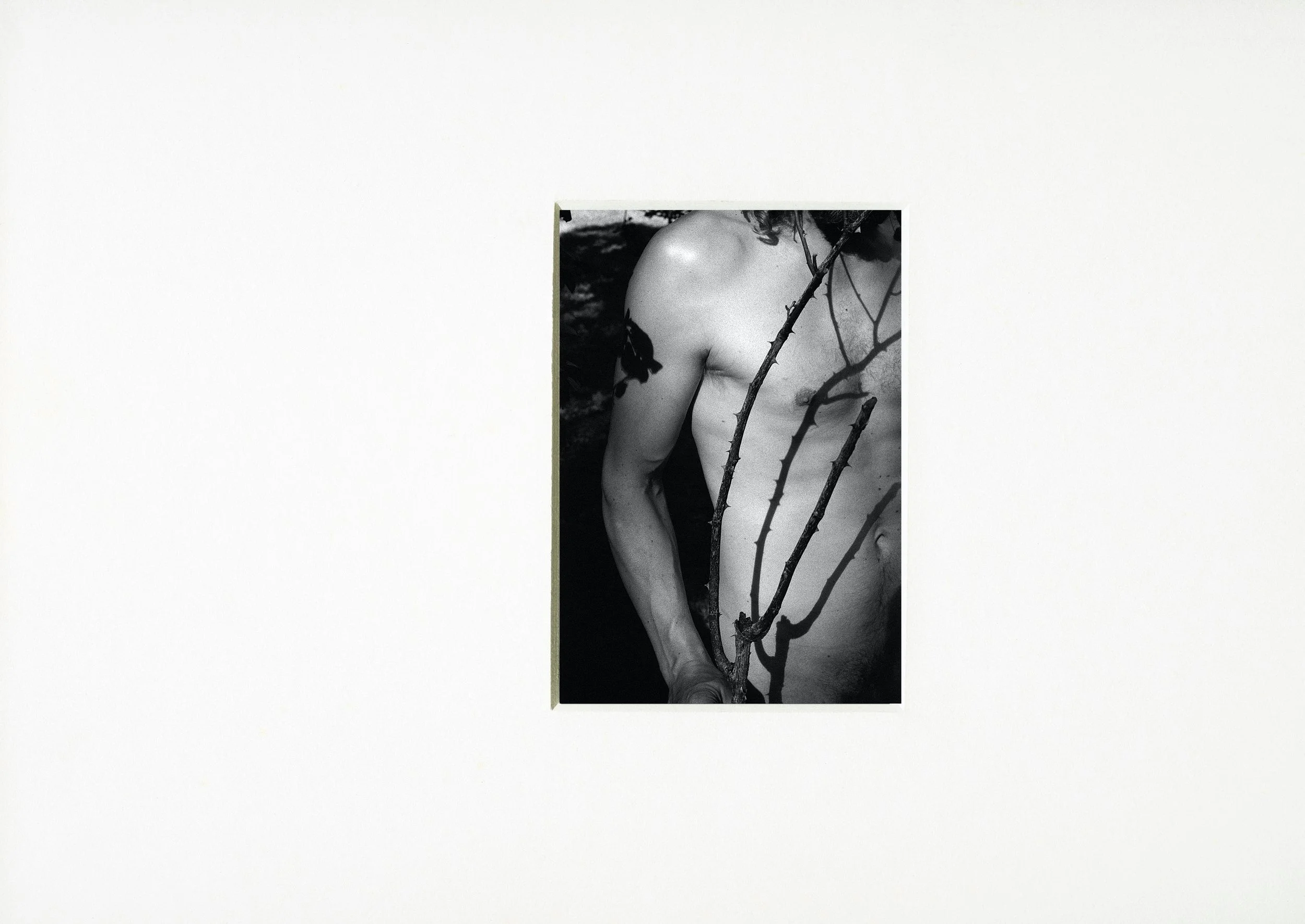 Rebecca Rose Harris Photography