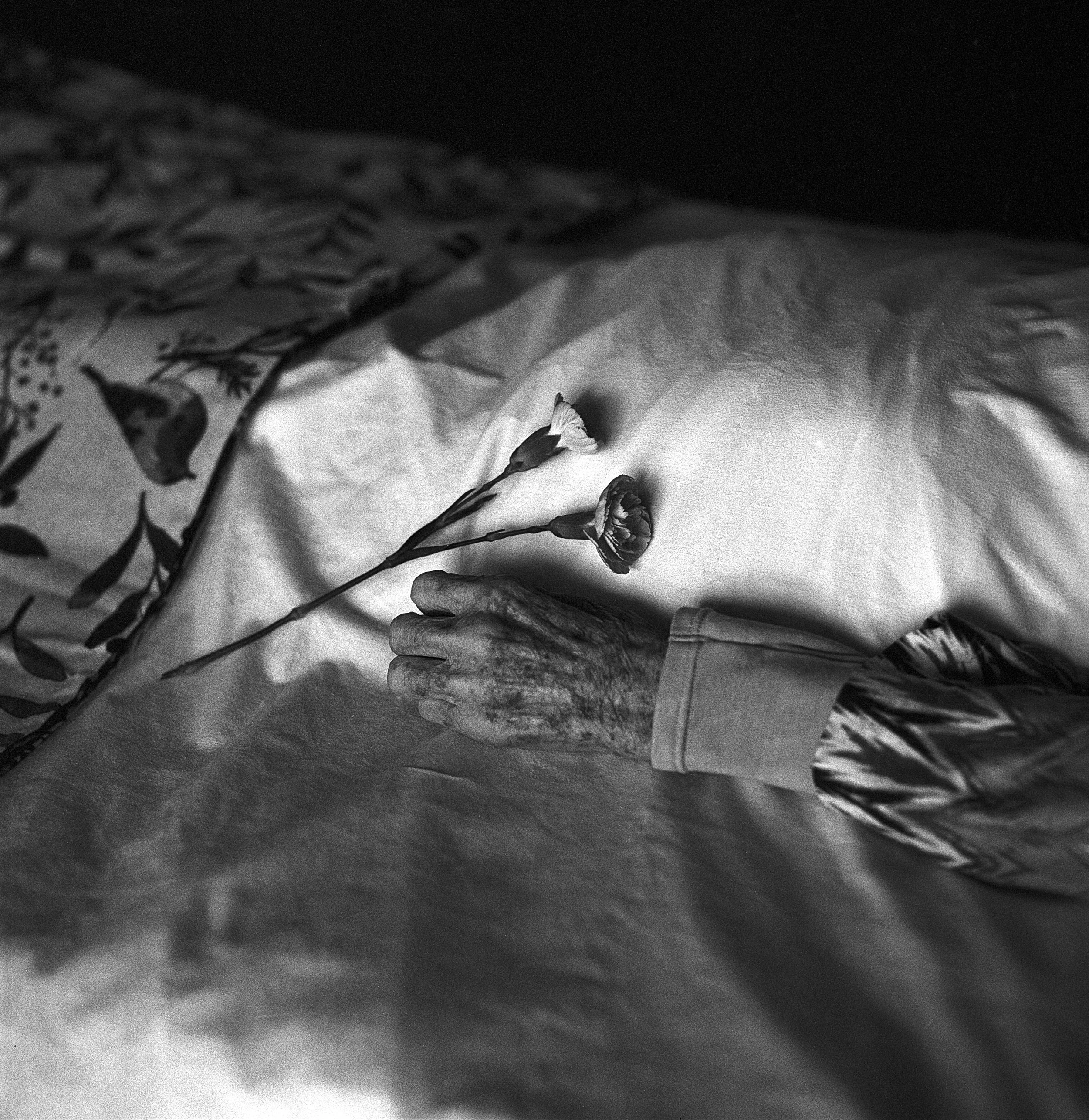 Rebecca Rose Harris Photography