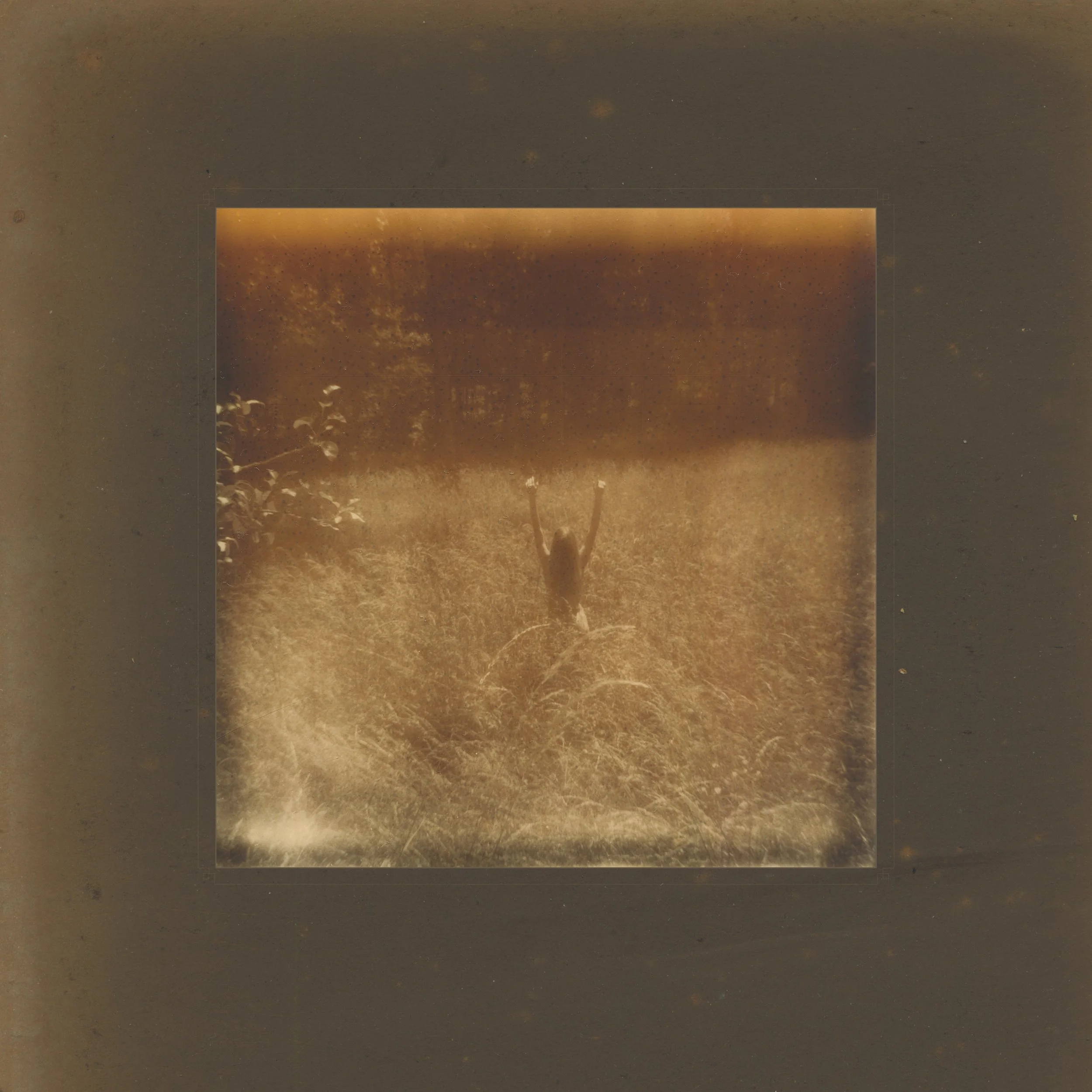 Rebecca Rose Harris Photography