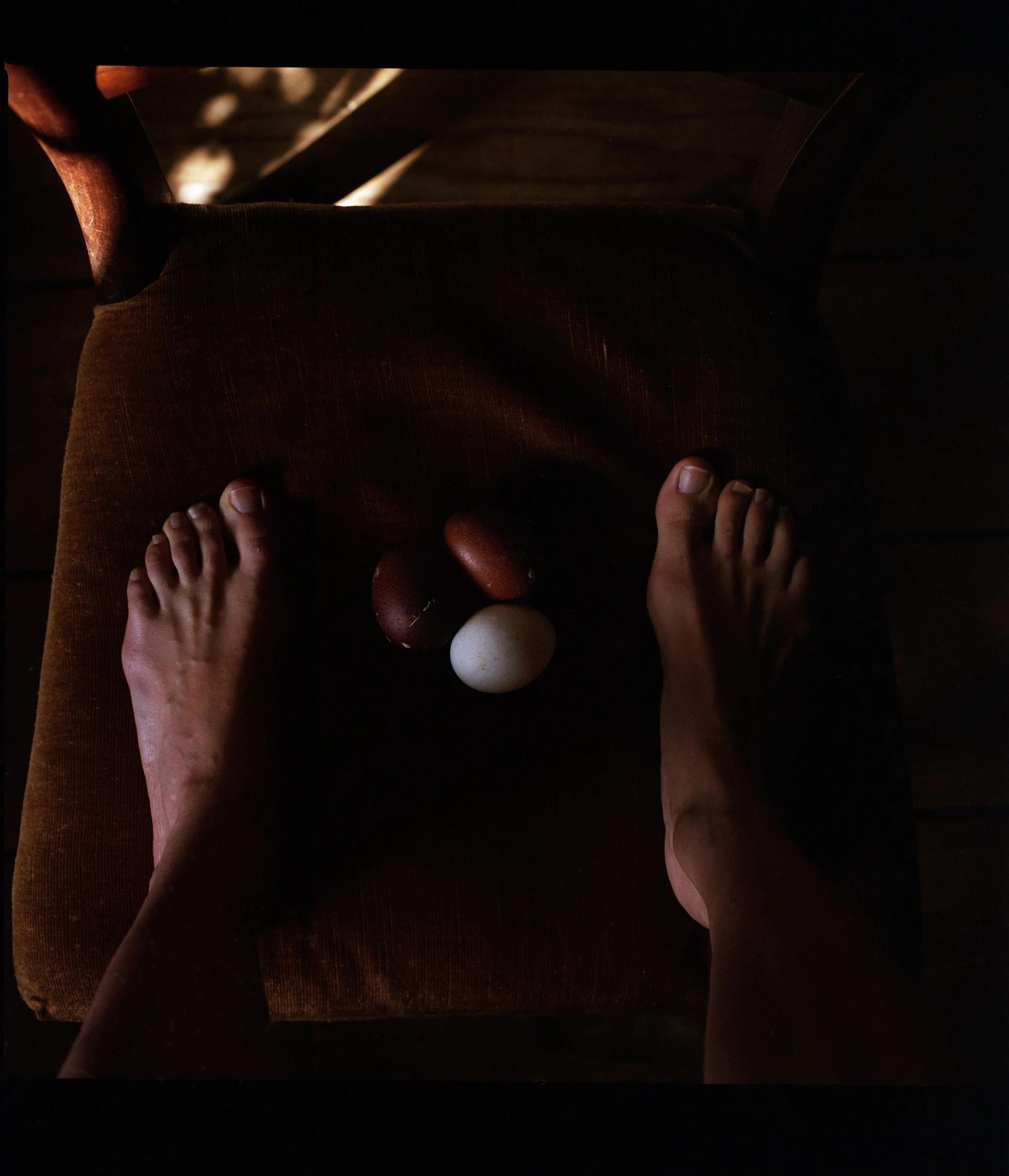 Rebecca Rose Harris Photography