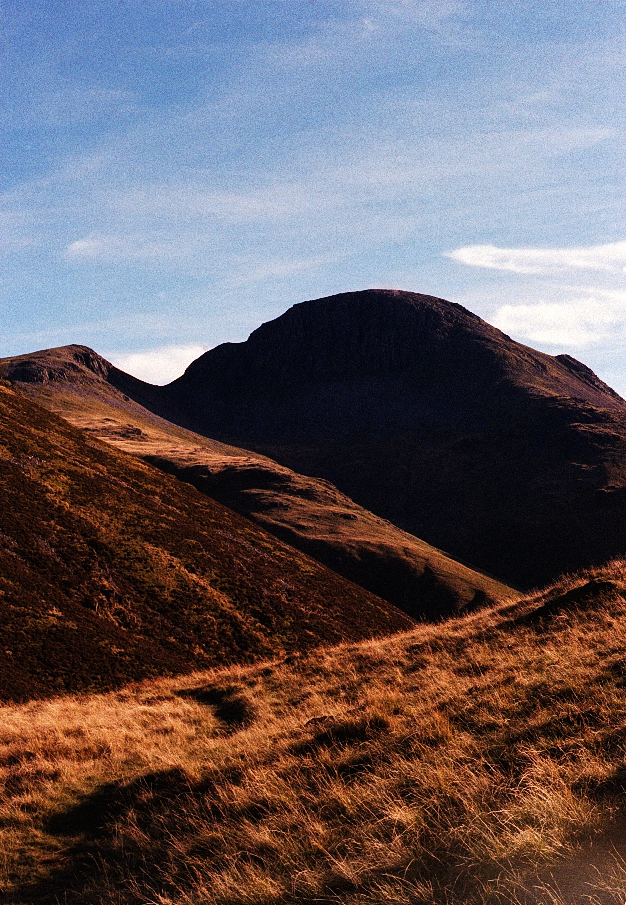 Rebecca Rose Harris Photography
