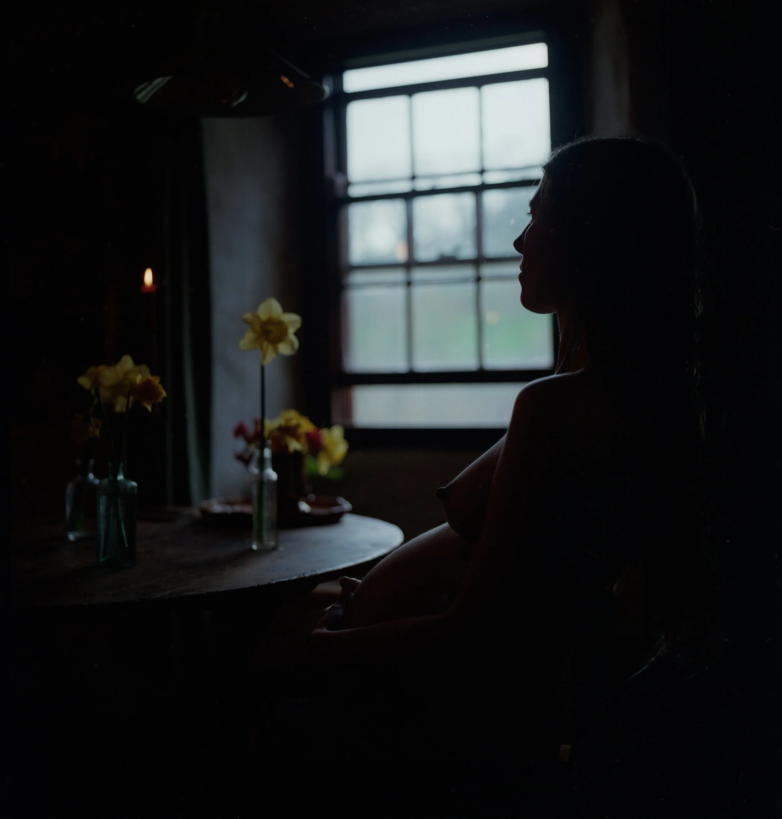 Rebecca Rose Harris Photography