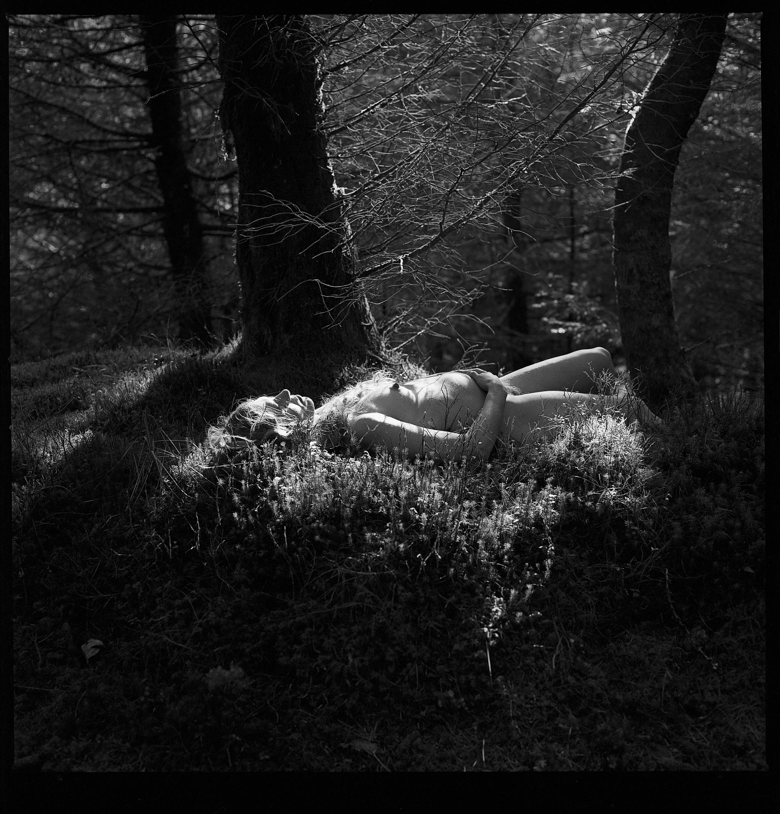 Rebecca Rose Harris Photography