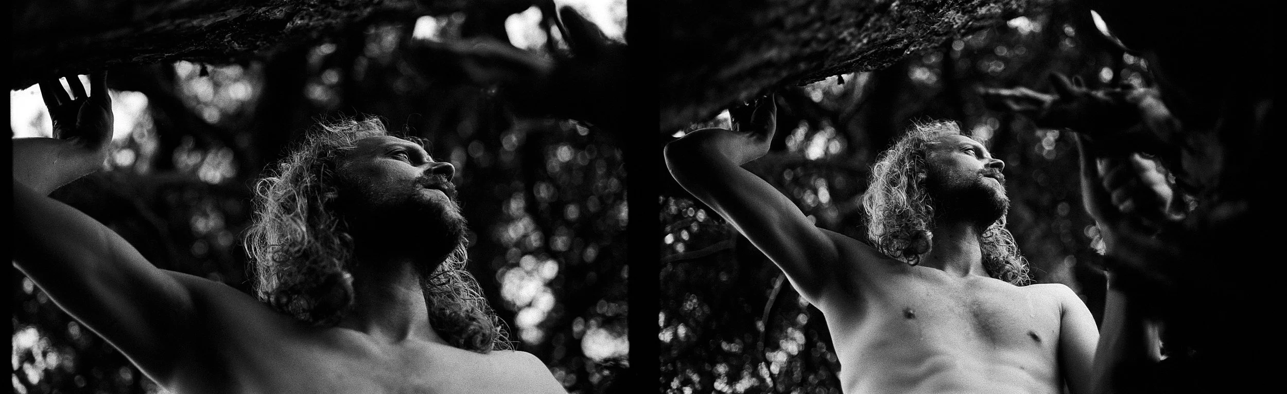 Rebecca Rose Harris Photography