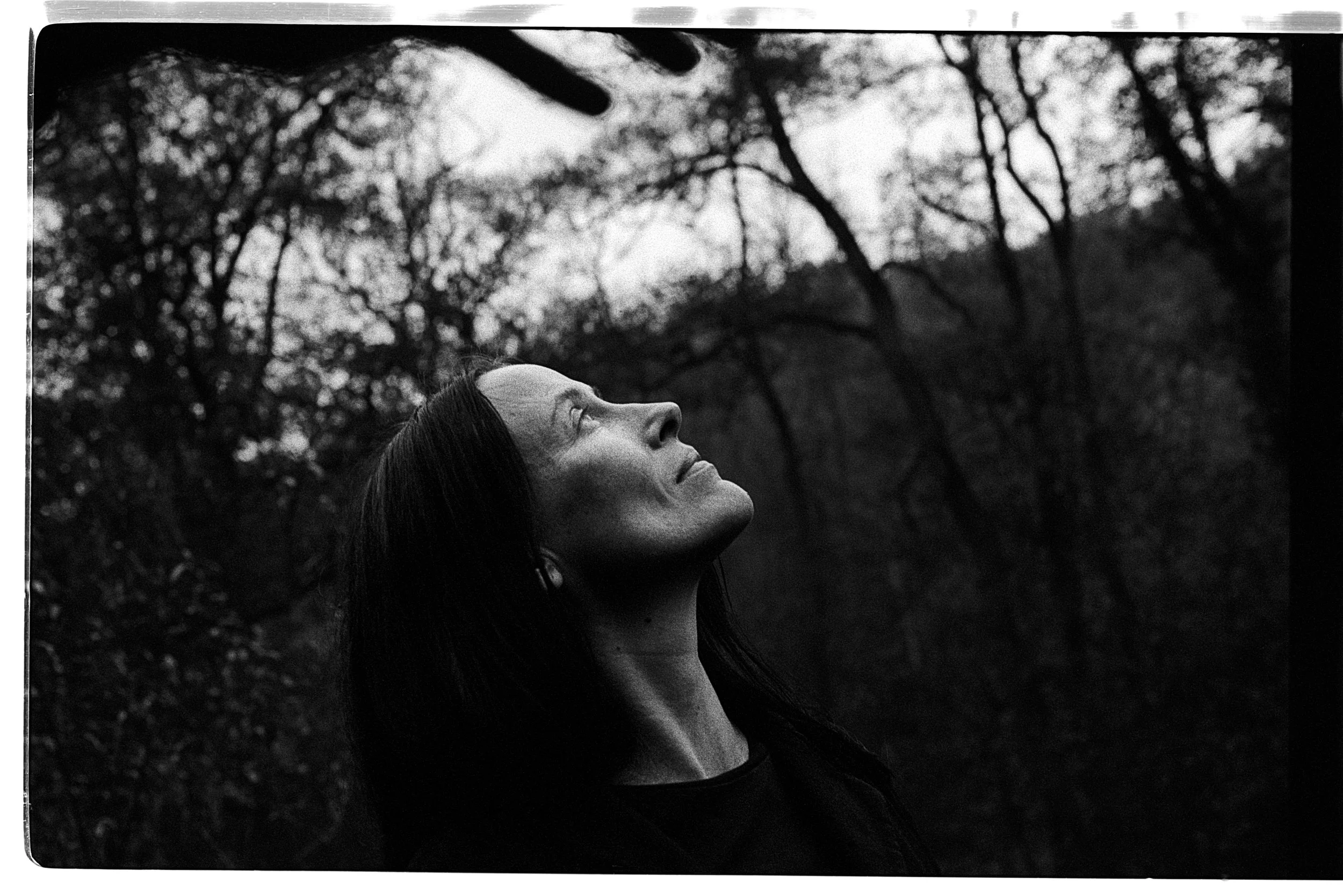 Rebecca Rose Harris Photography