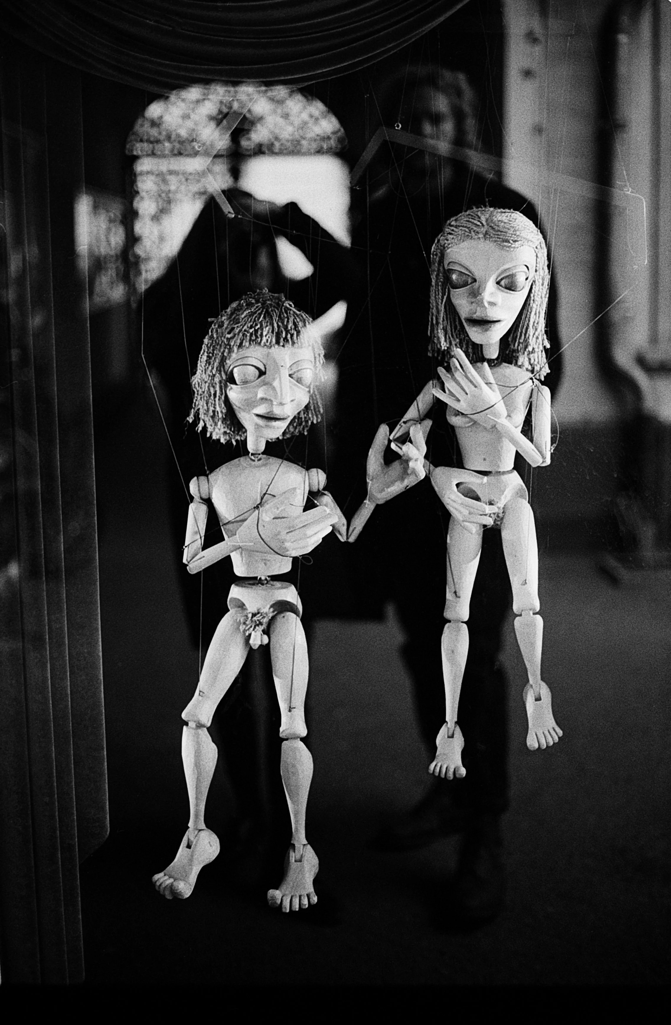 Rebecca Rose Harris Photography