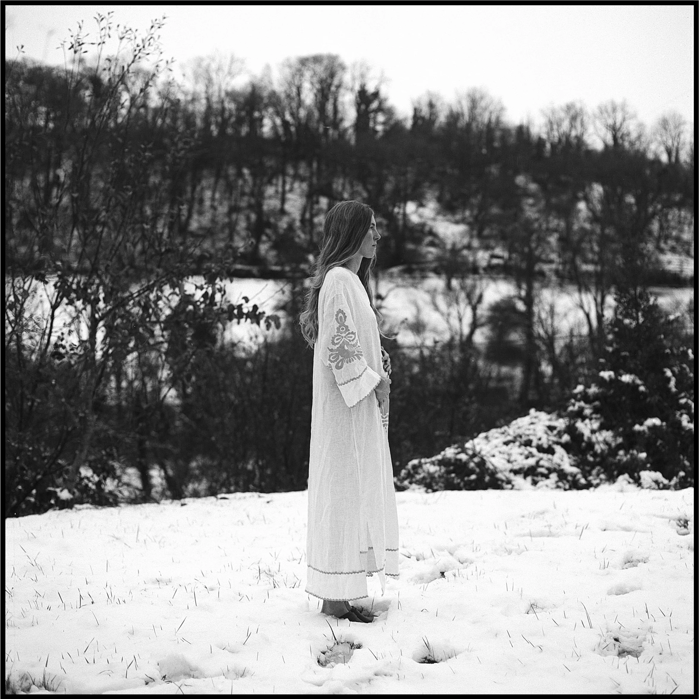 Rebecca Rose Harris Photography