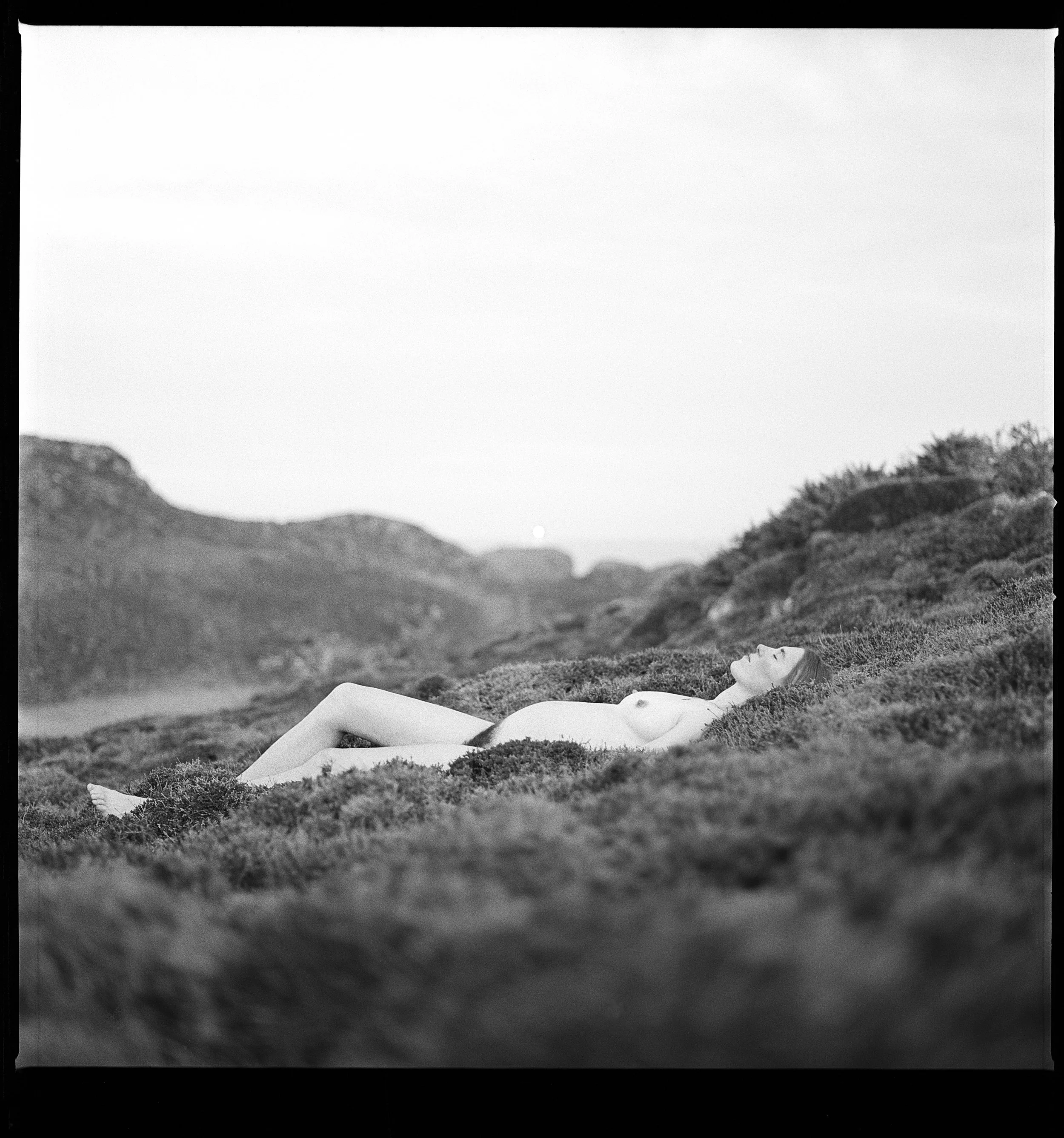 Rebecca Rose Harris Photography