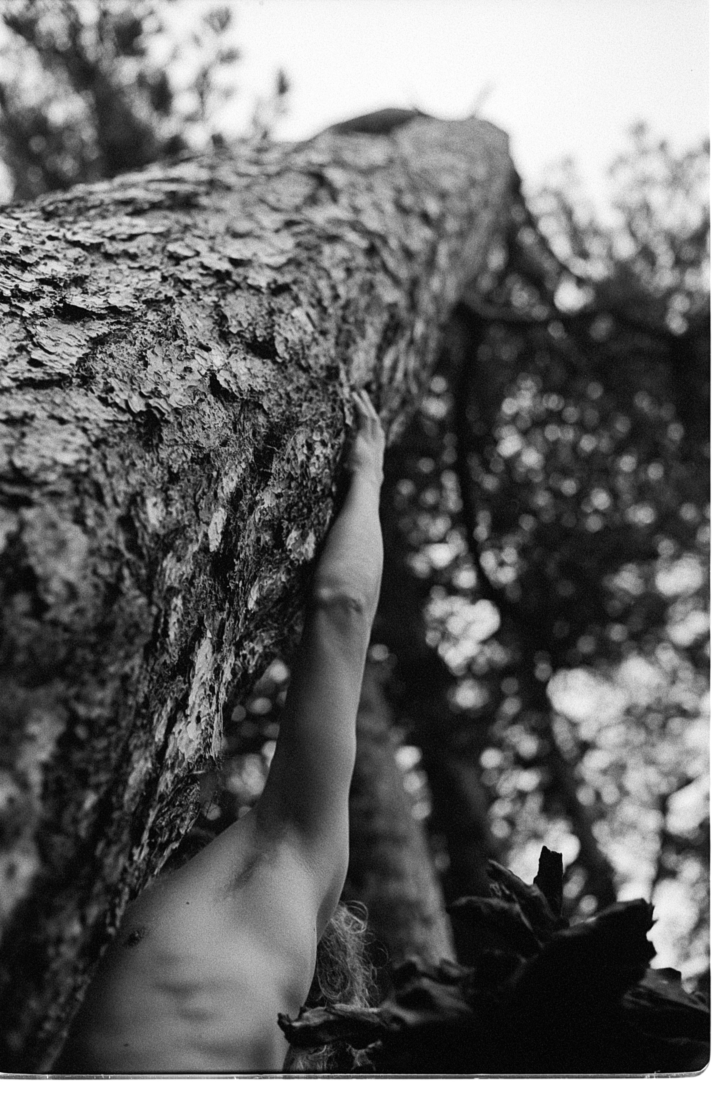 Rebecca Rose Harris Photography