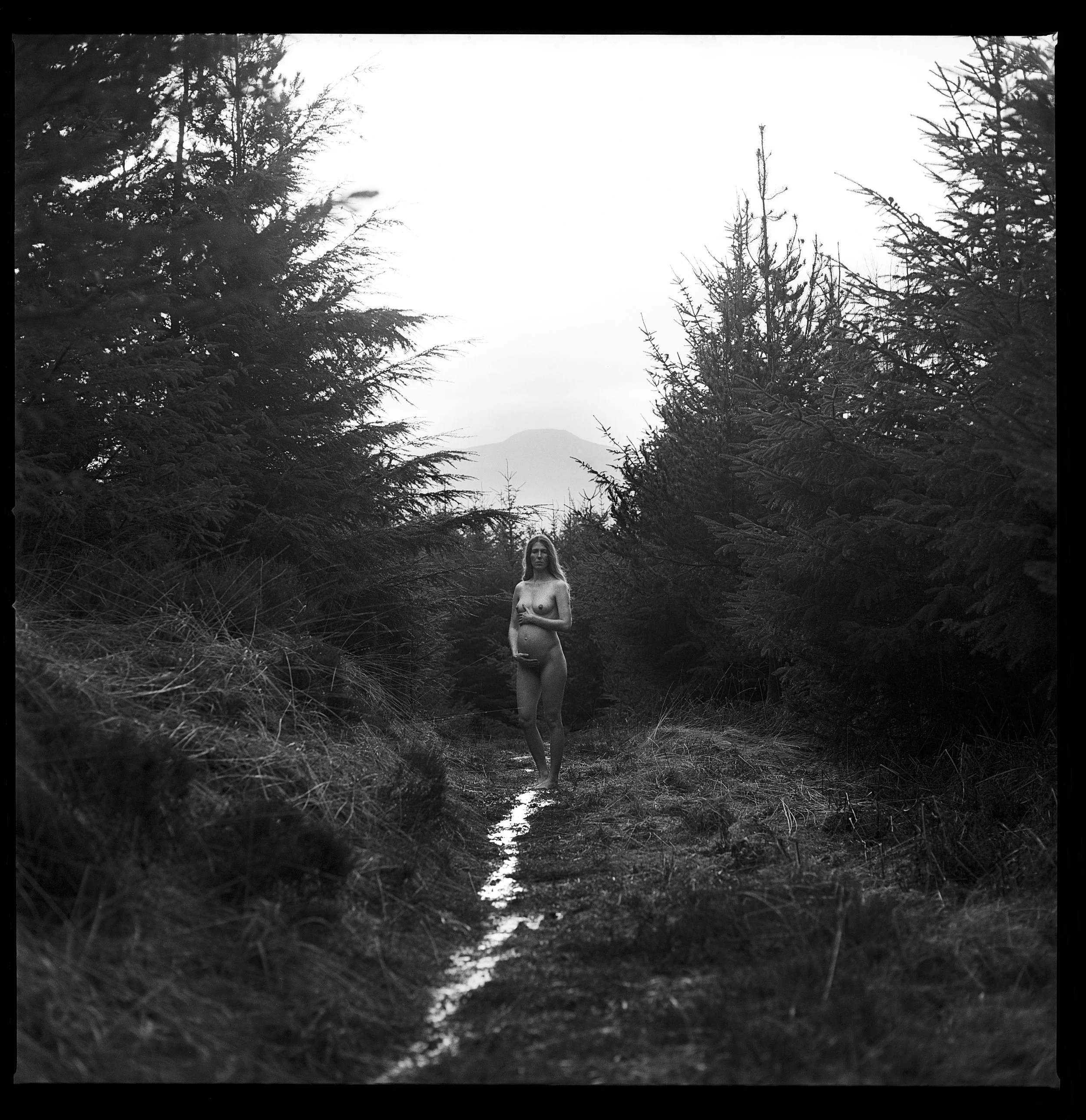 Rebecca Rose Harris Photography
