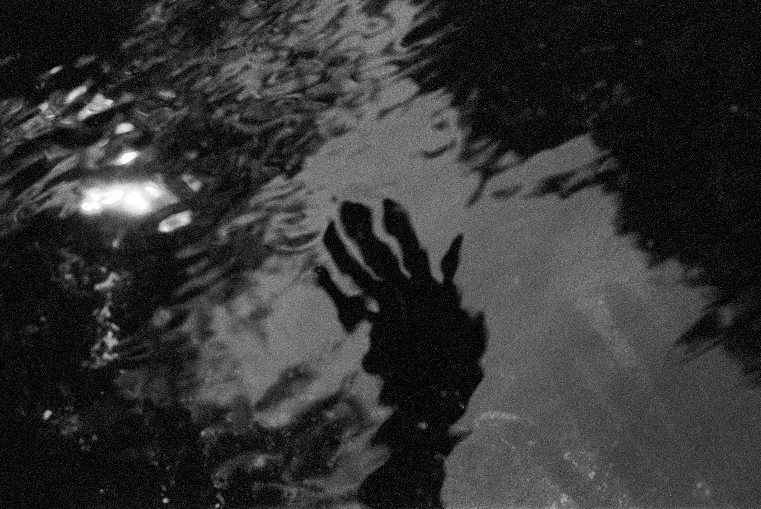 Rebecca Rose Harris Photography