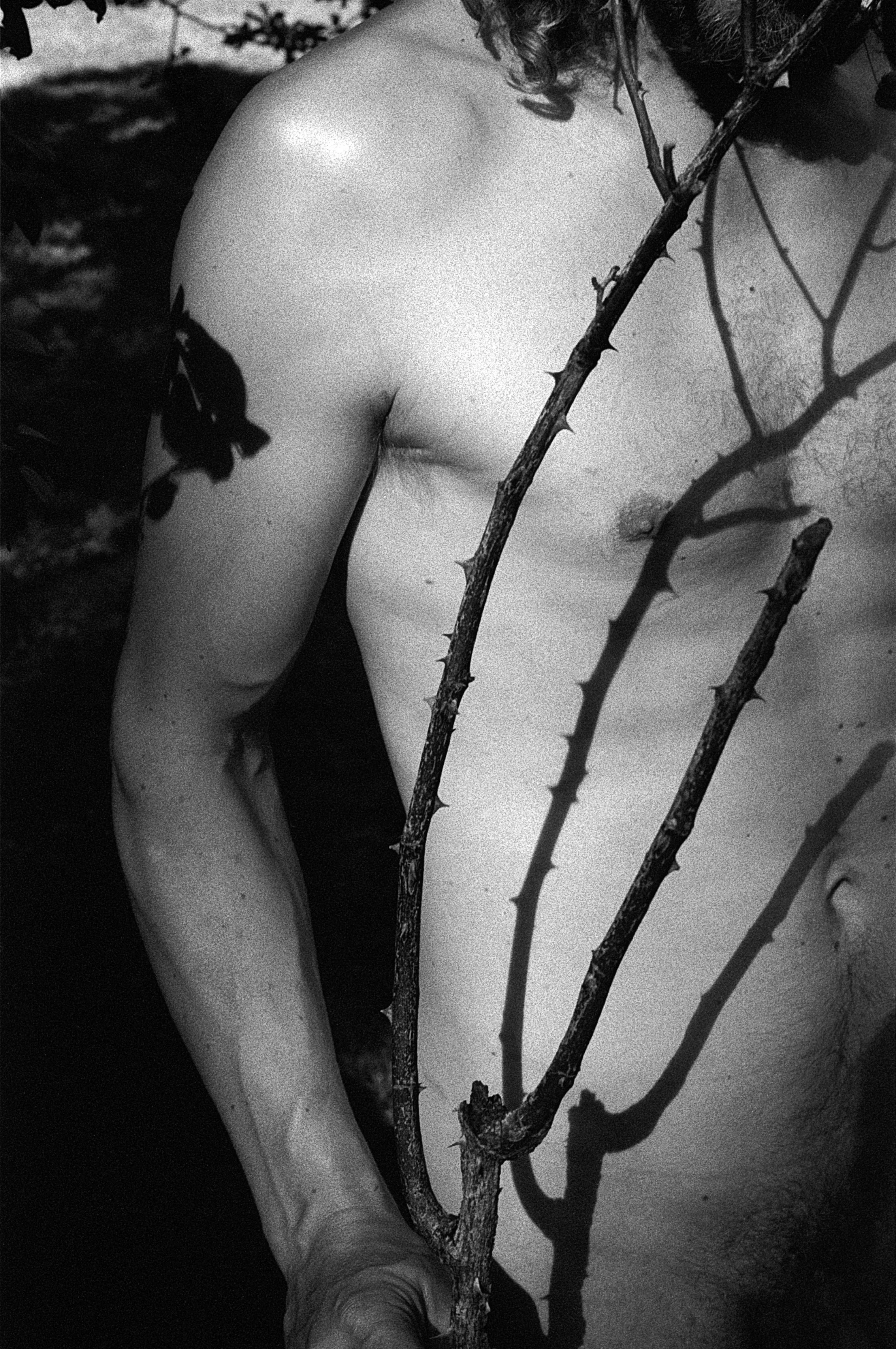 Rebecca Rose Harris Photography