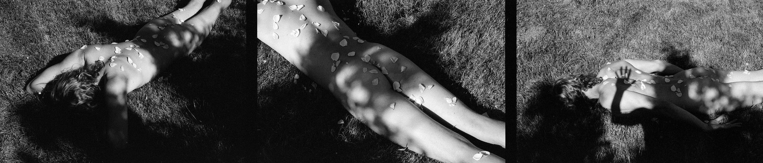 Rebecca Rose Harris Photography