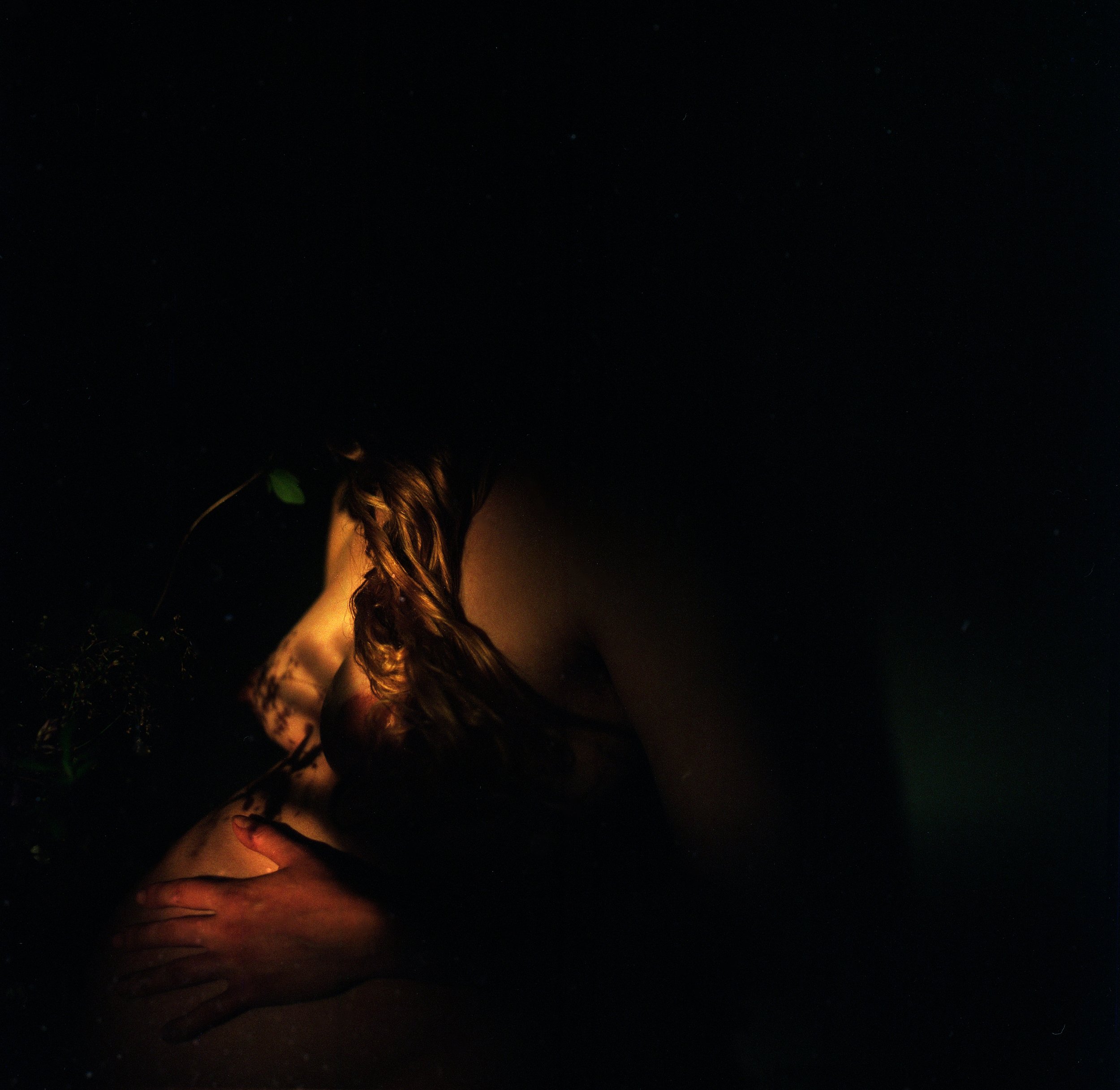 Rebecca Rose Harris Photography