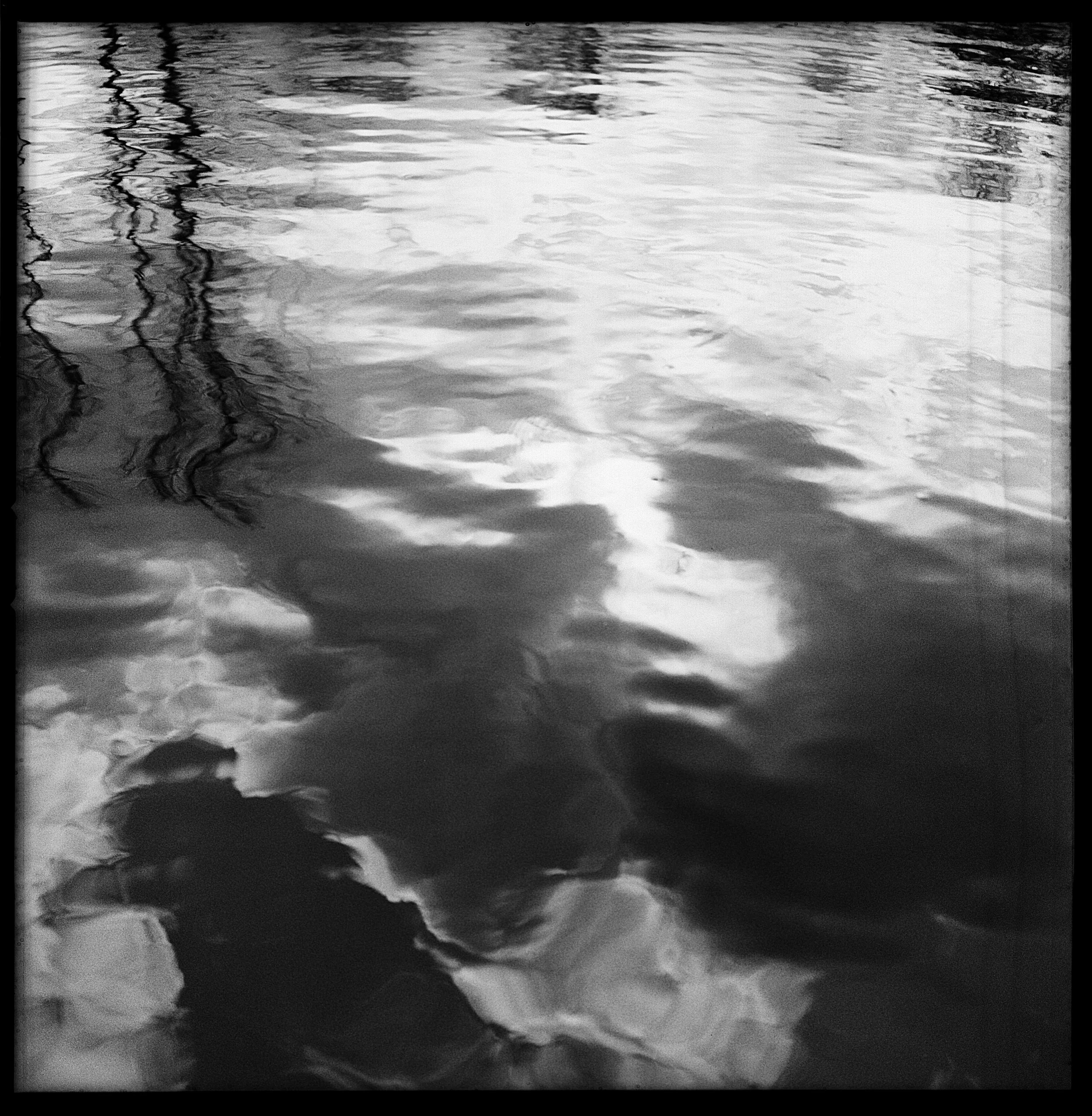 Rebecca Rose Harris Photography