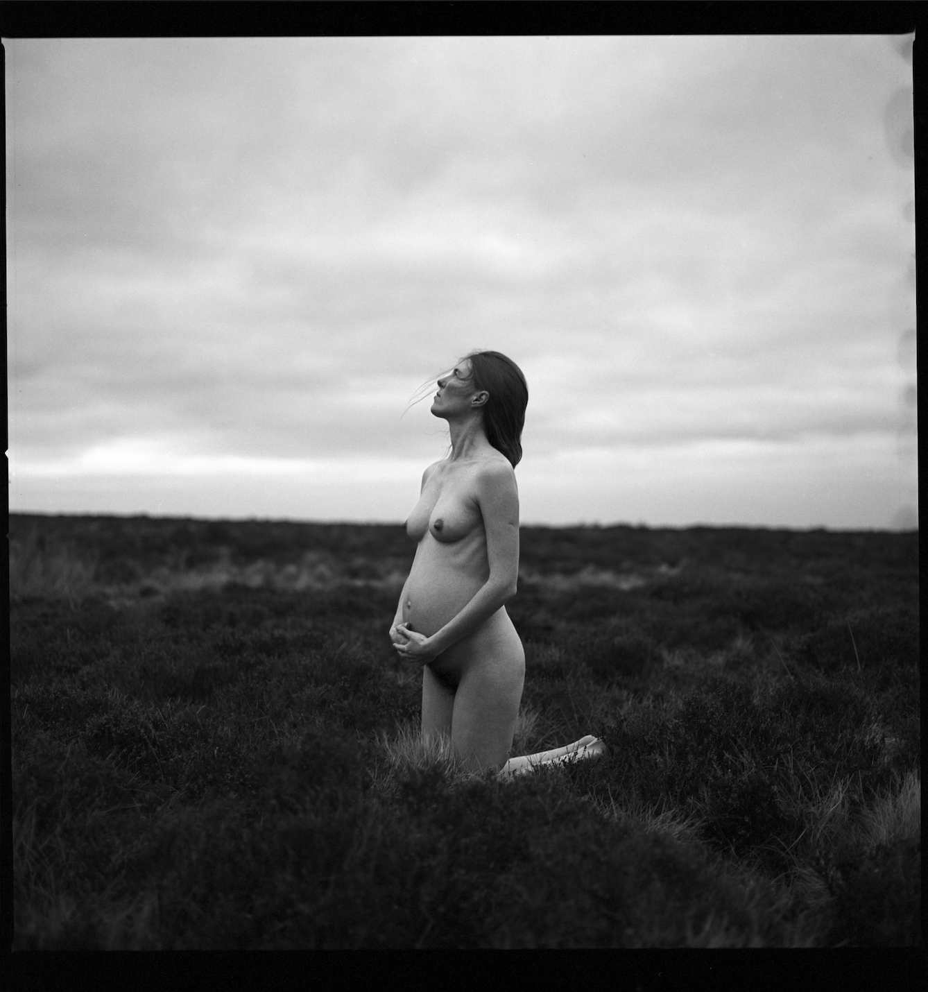 Rebecca Rose Harris Photography