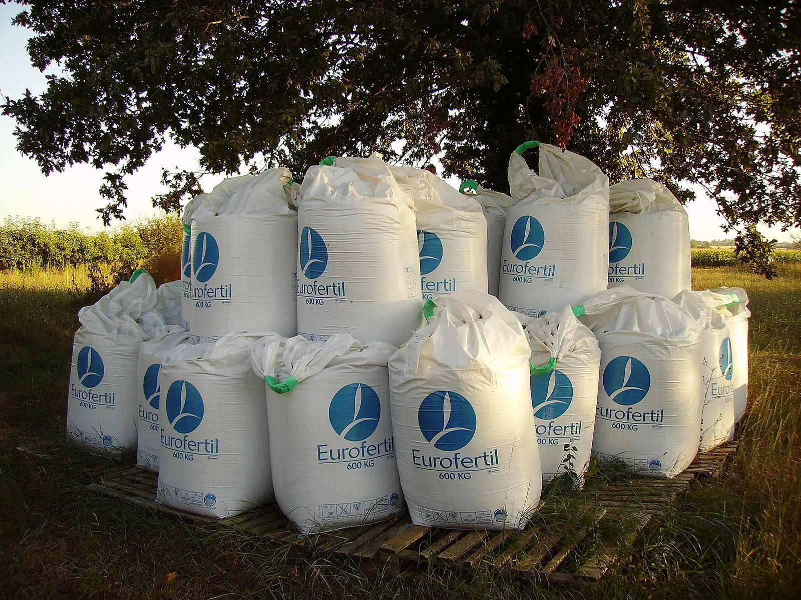 Fertilisers.jpg