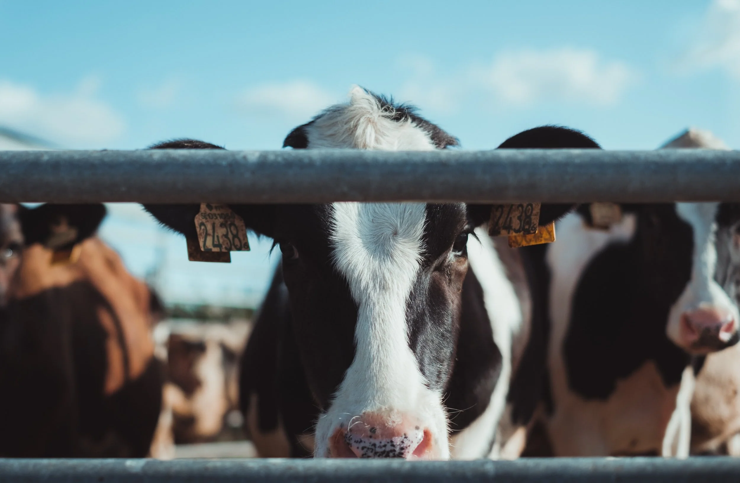 unsplash-image-qN-57s5PlZ8.jpg