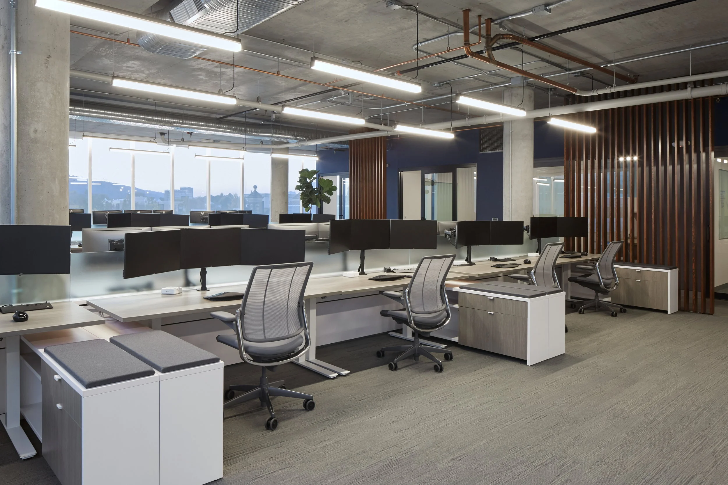 Office Open Office Screens View.JPG