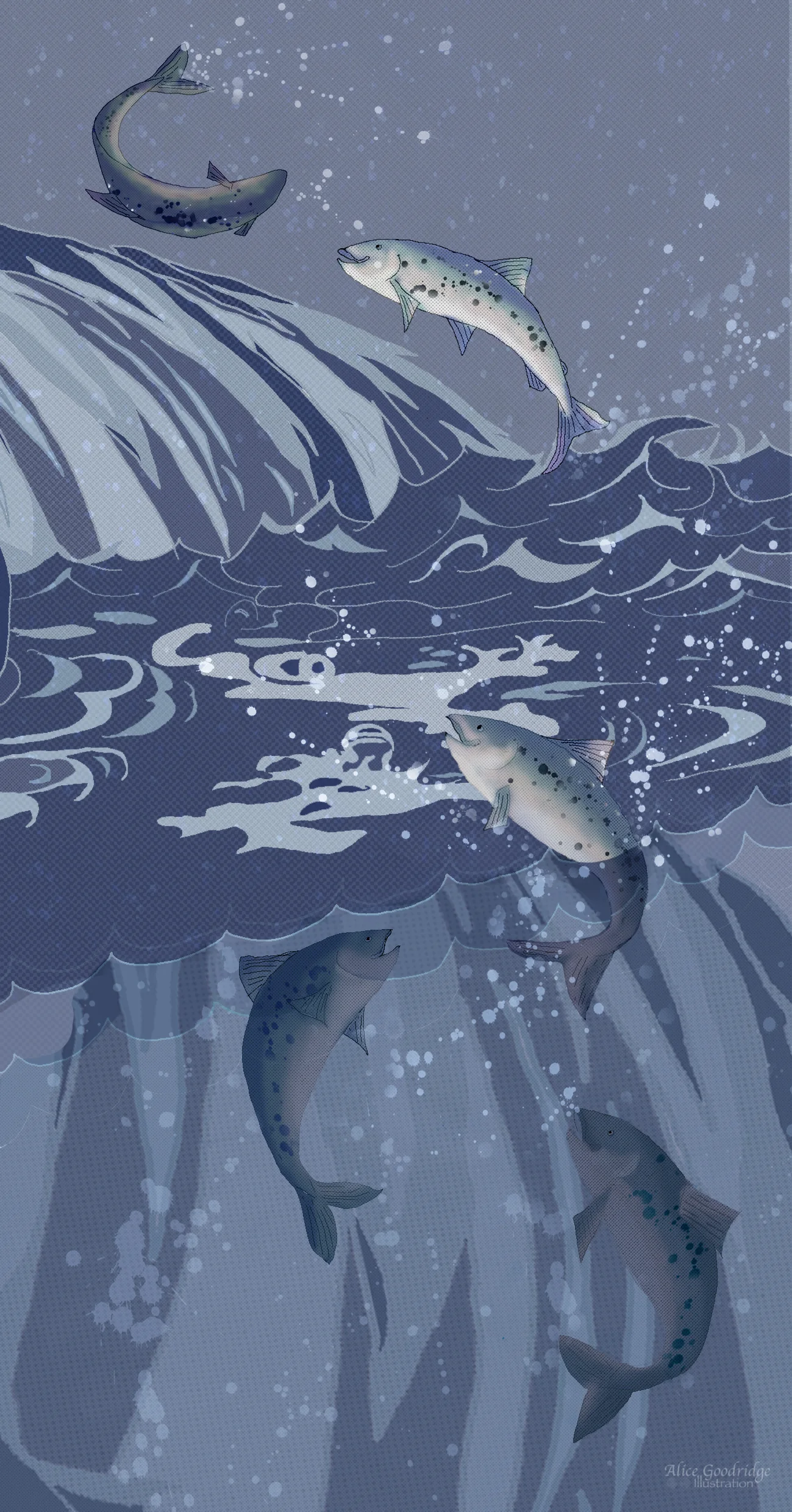 Salmon Leaping