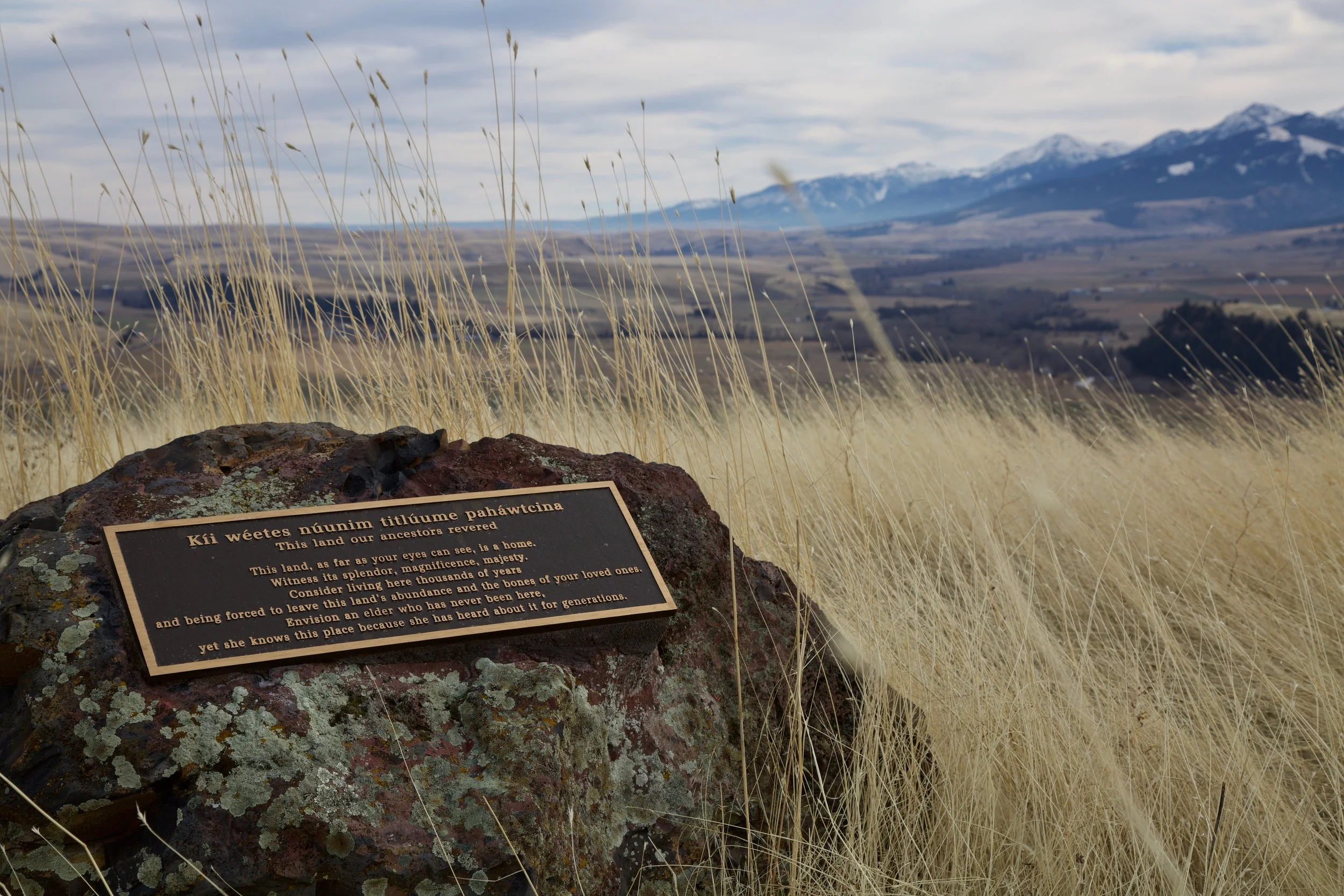Bronze Interpretive Plaque