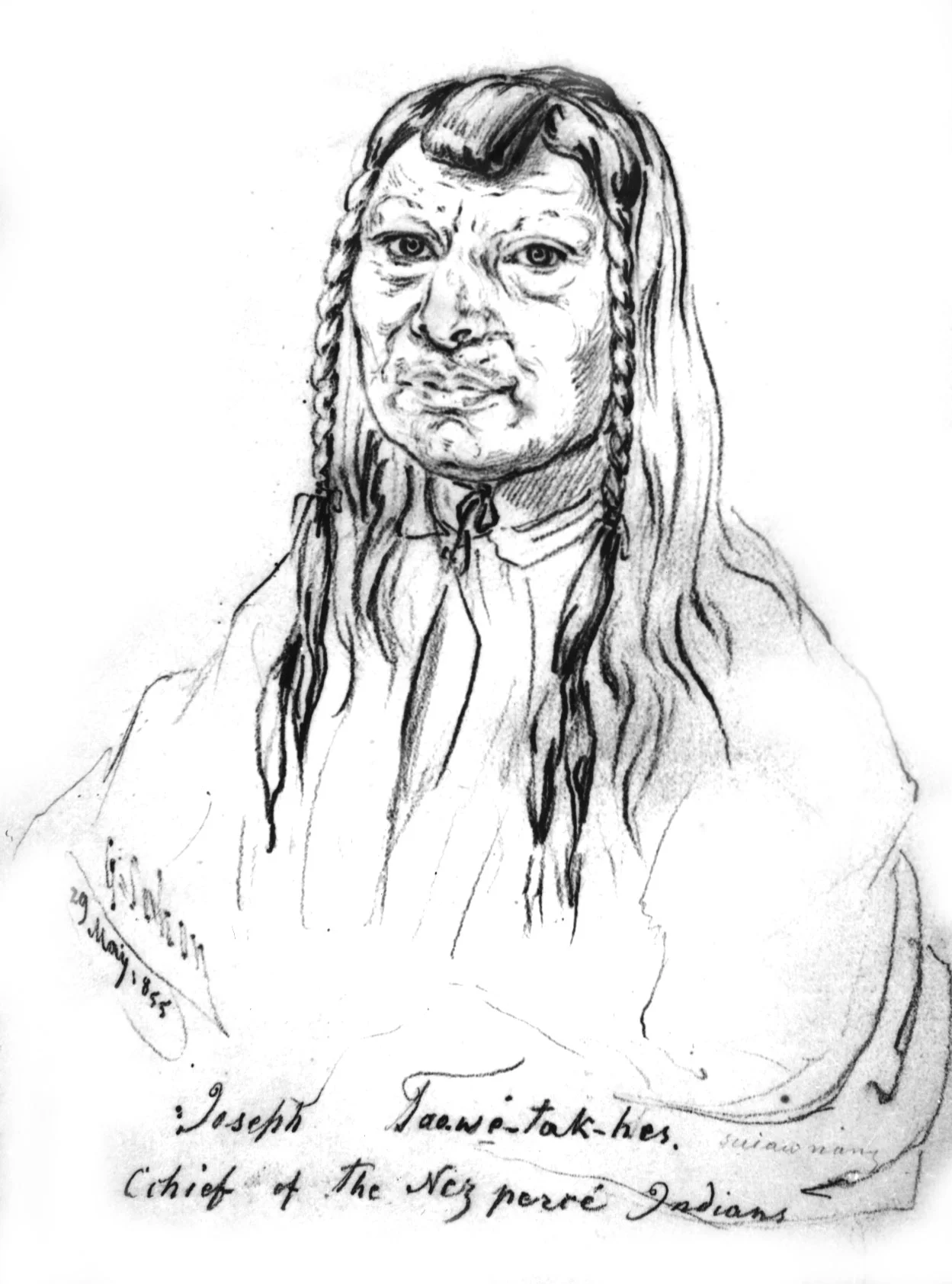Tuekakas - Old Chief Joseph