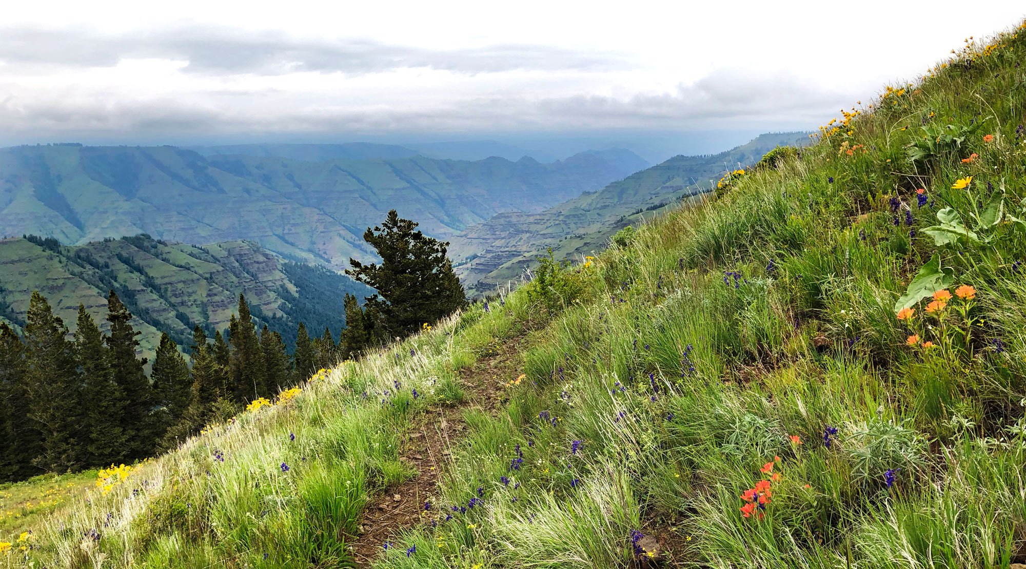 Nez Perce Wal’áwa Homeland