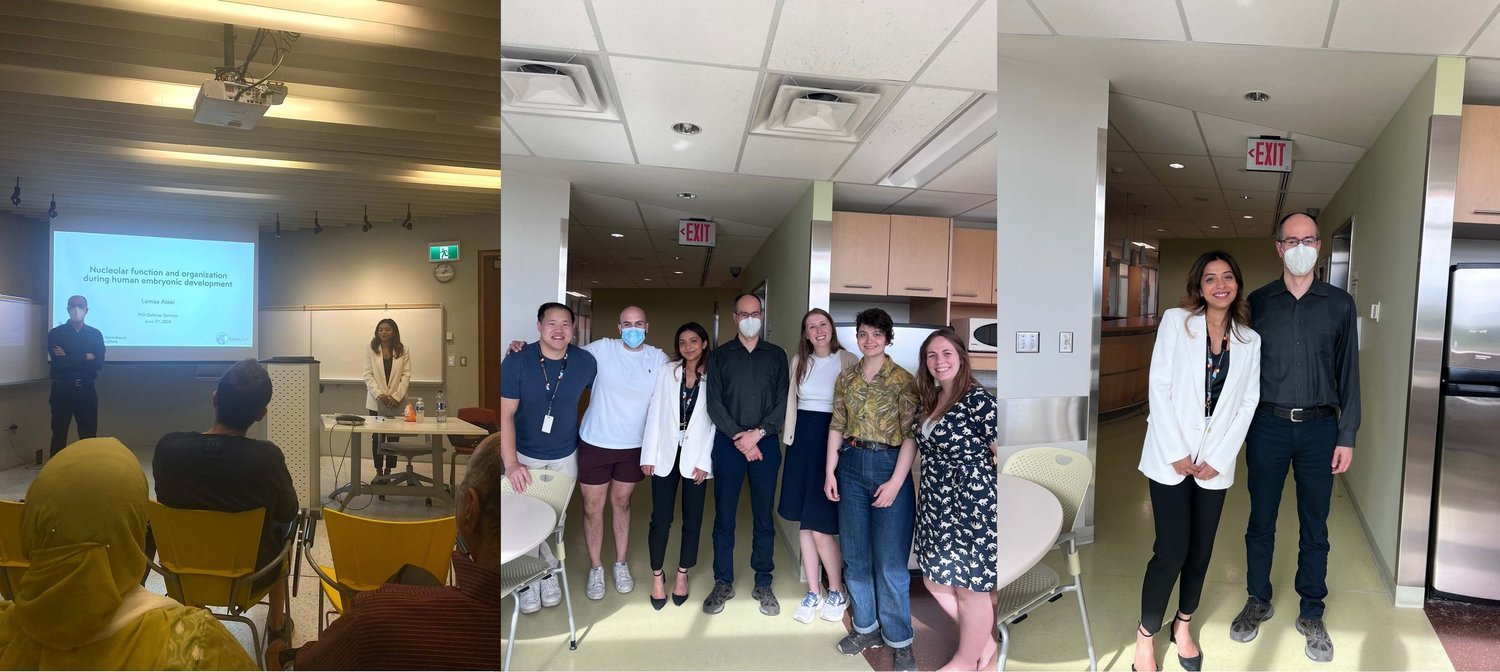 Lamisa Ataei, first U. of Toronto PhD student graduating from our lab! - Jun 2024